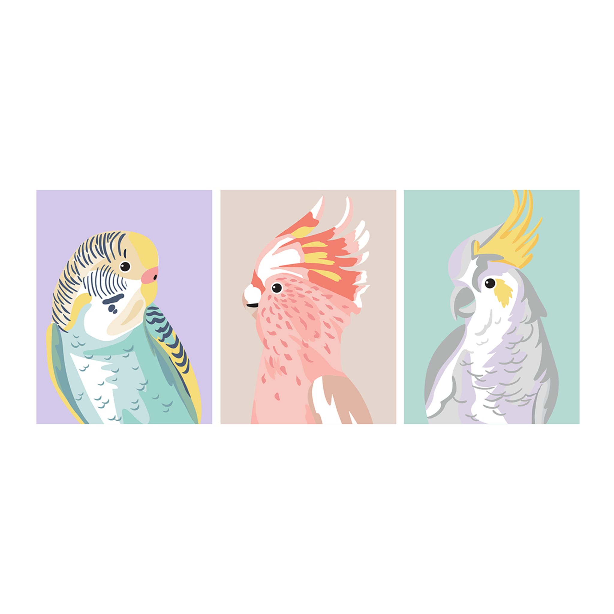 3 Pack Paint by Numbers - Birds - Kmart