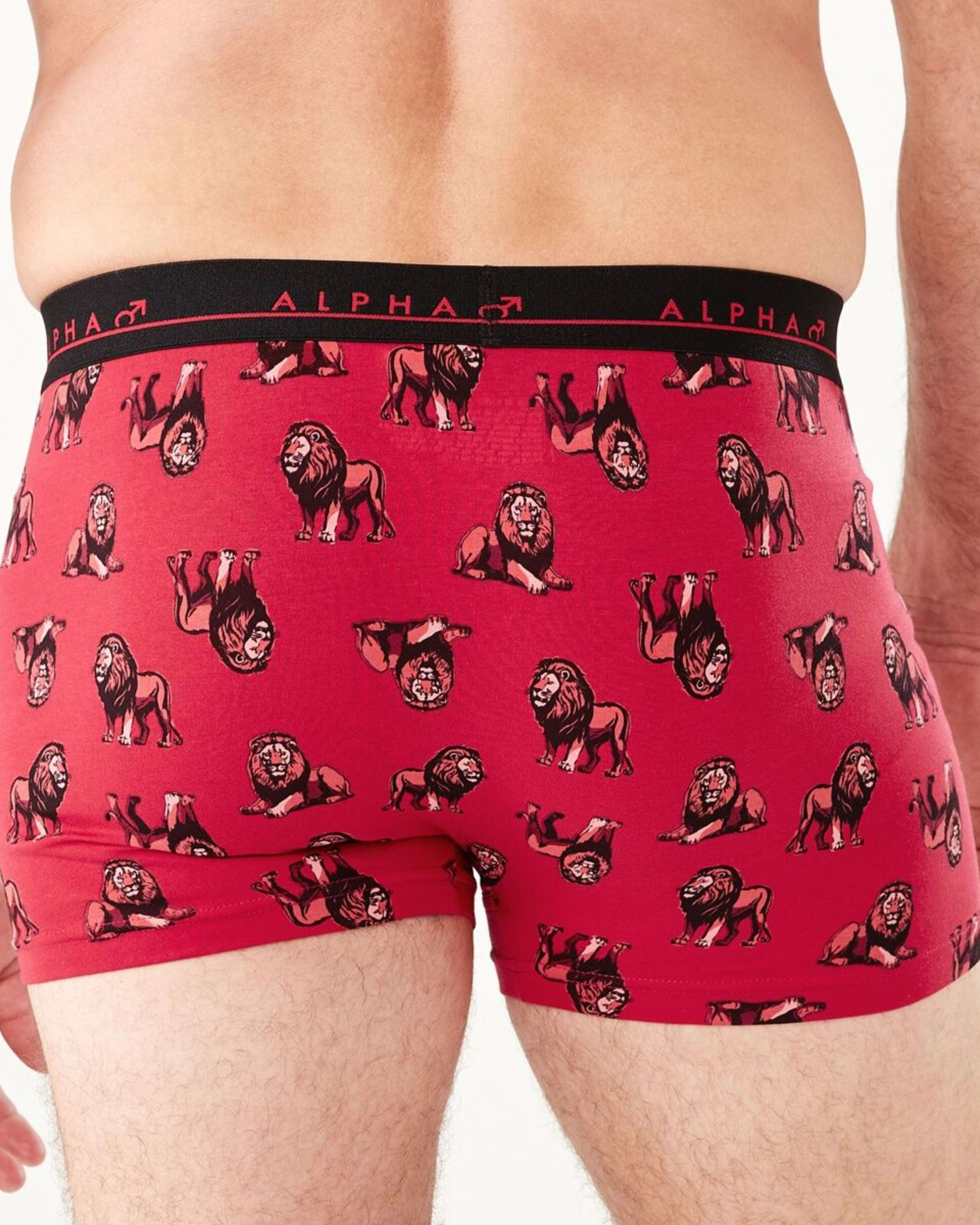 8 5 Pack Trunks BIG JUNGLE ANIMALS, 8 of 10