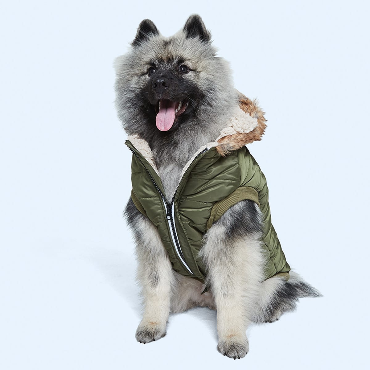 Pet Jacket with Hood - Medium - Kmart
