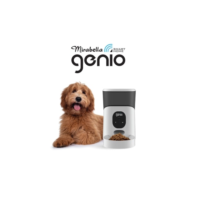 5L Pet Feeder with Camera Kmart