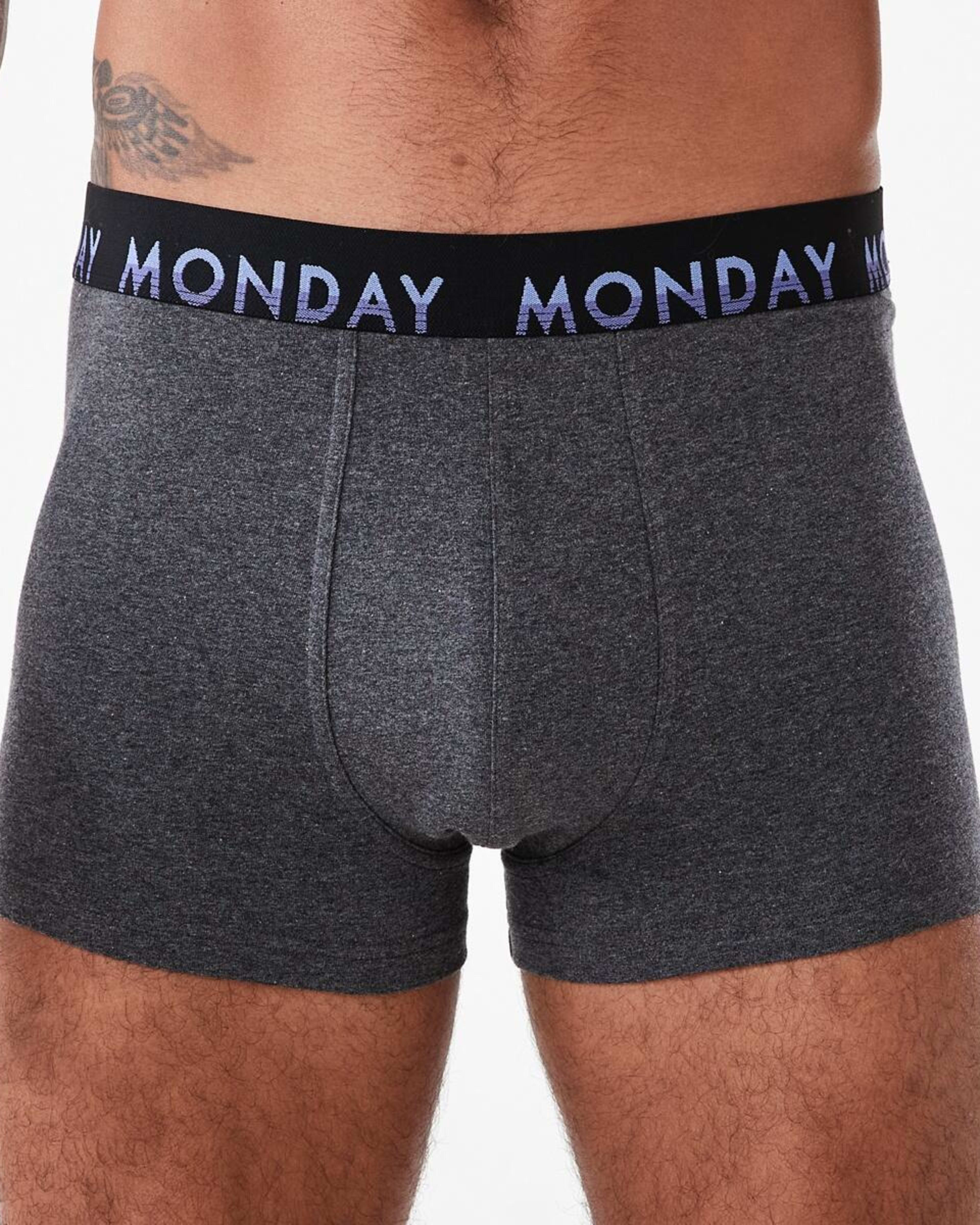 7 7 Pack 7 Day Trunks CHARCOLOR, 7 of 10