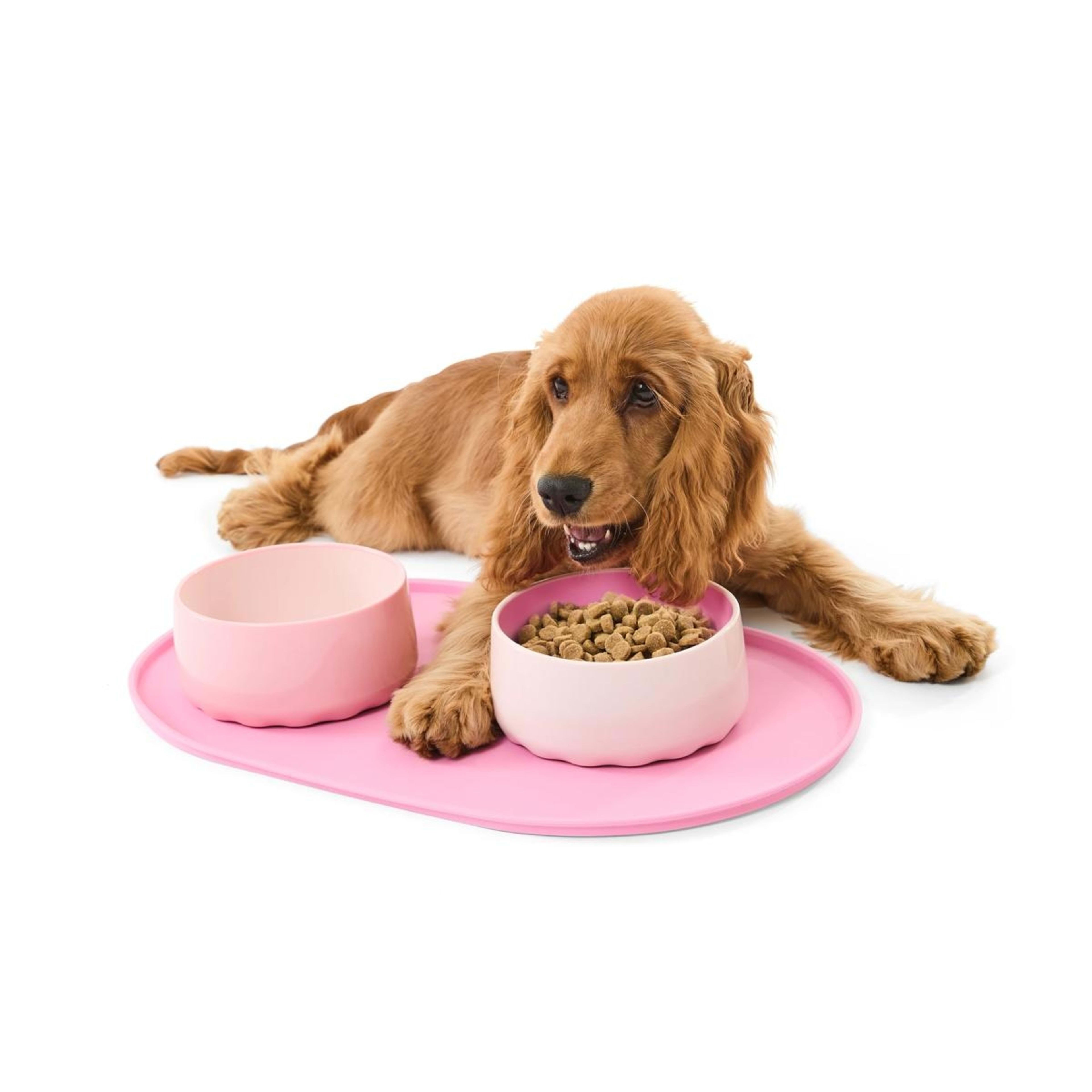 1 Puppy Bowl Starter Pack - Pink