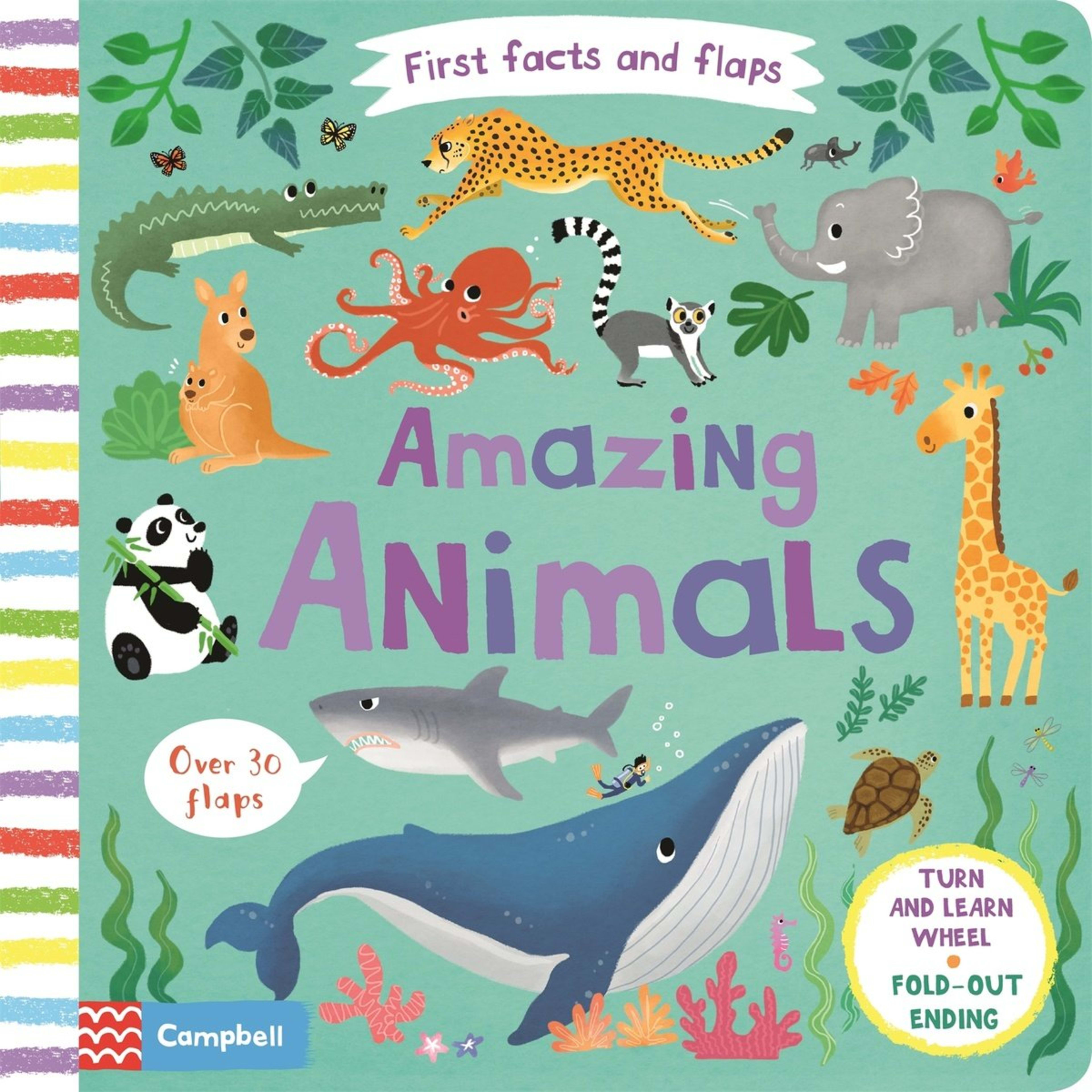 1 First Facts and Flaps: Amazing Animals by Lon Lee - Book