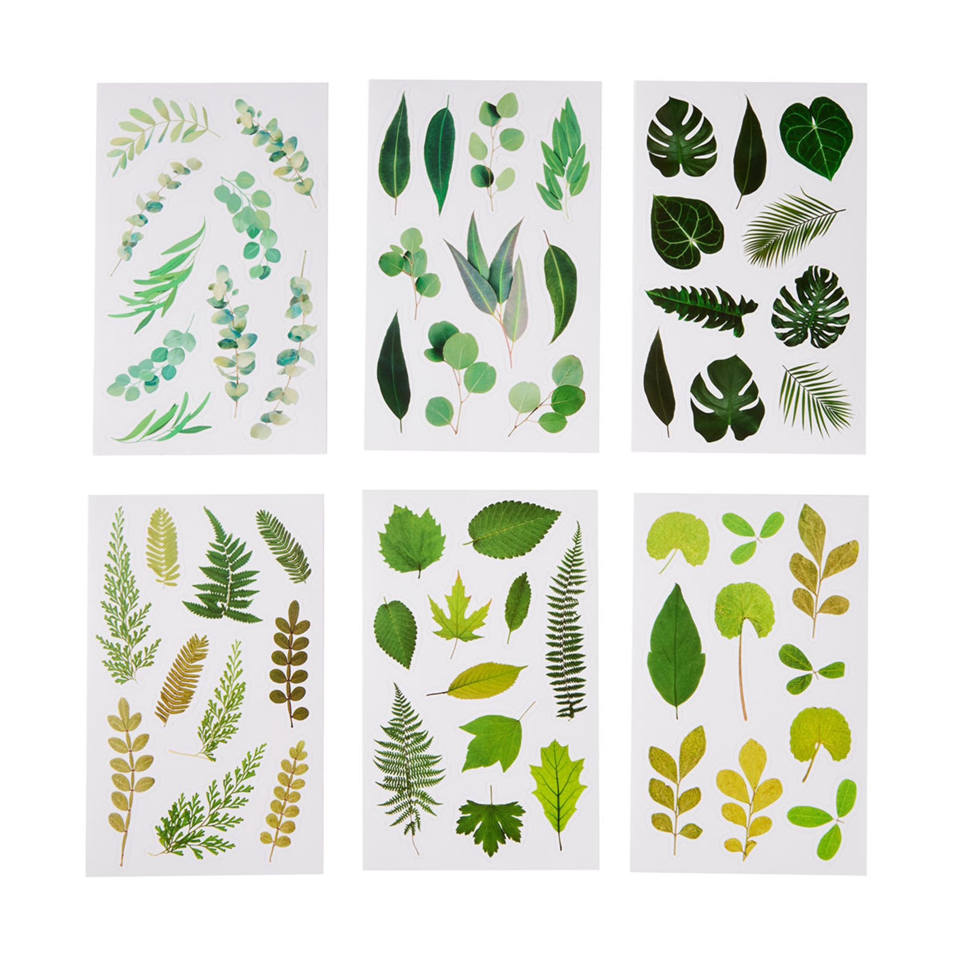 6 Pack Pressed Leaf Stickers Kmart