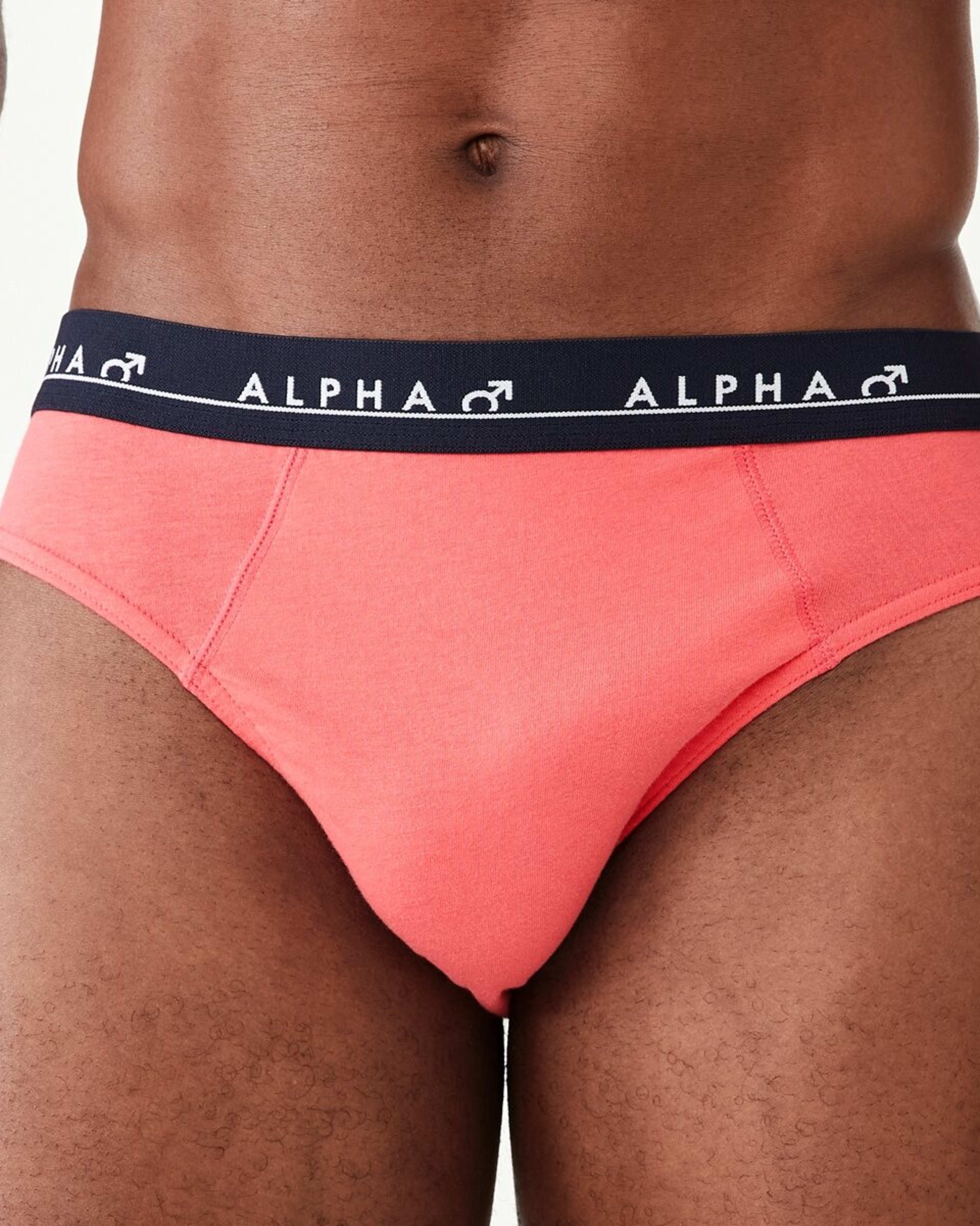 2 5 Pack Alpha Attached Elastic Hipster Briefs LIGHTSCAPE, 2 of 10