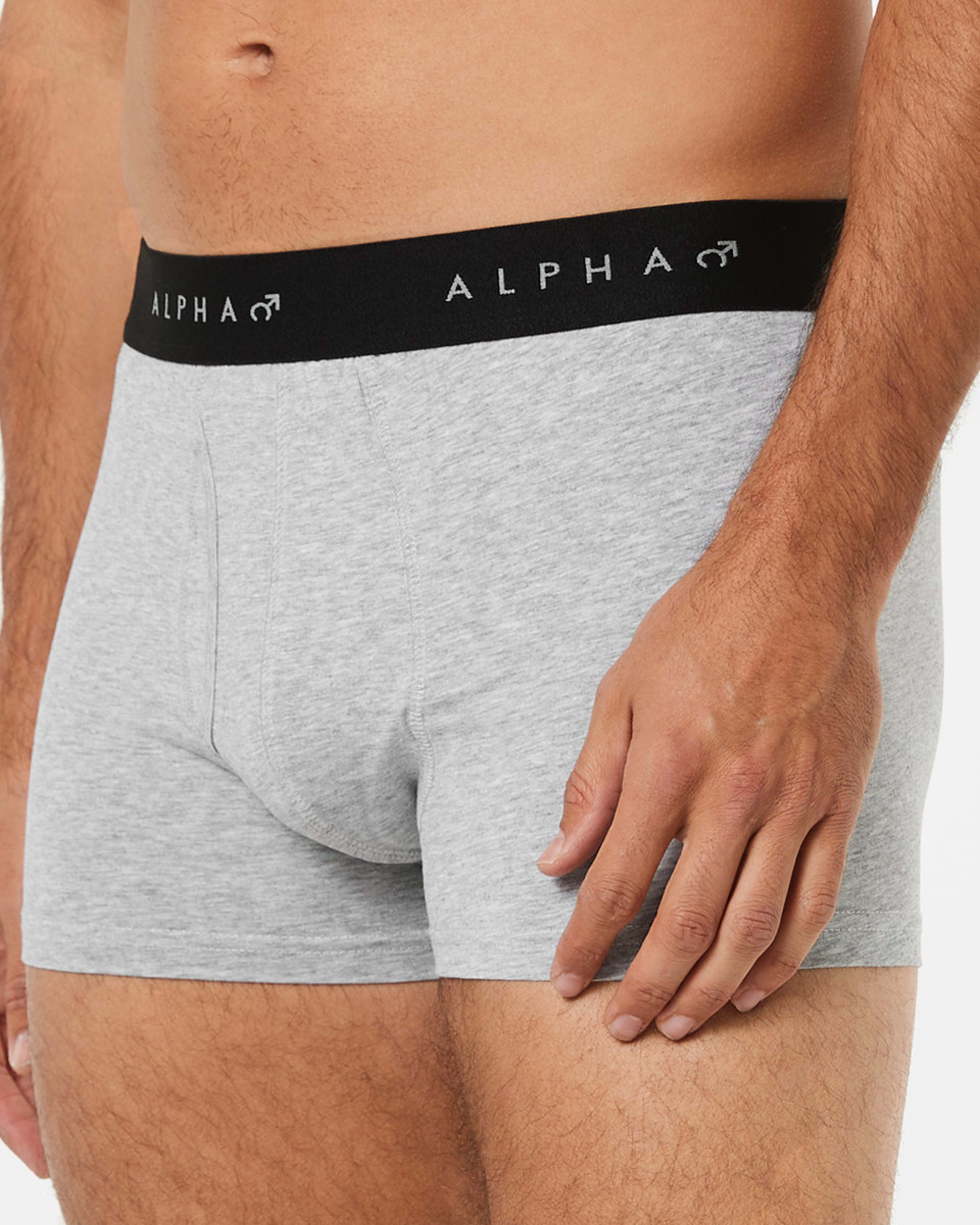 5 3 Pack Fly Front Plain Trunks GREY MARLE, 5 of 8