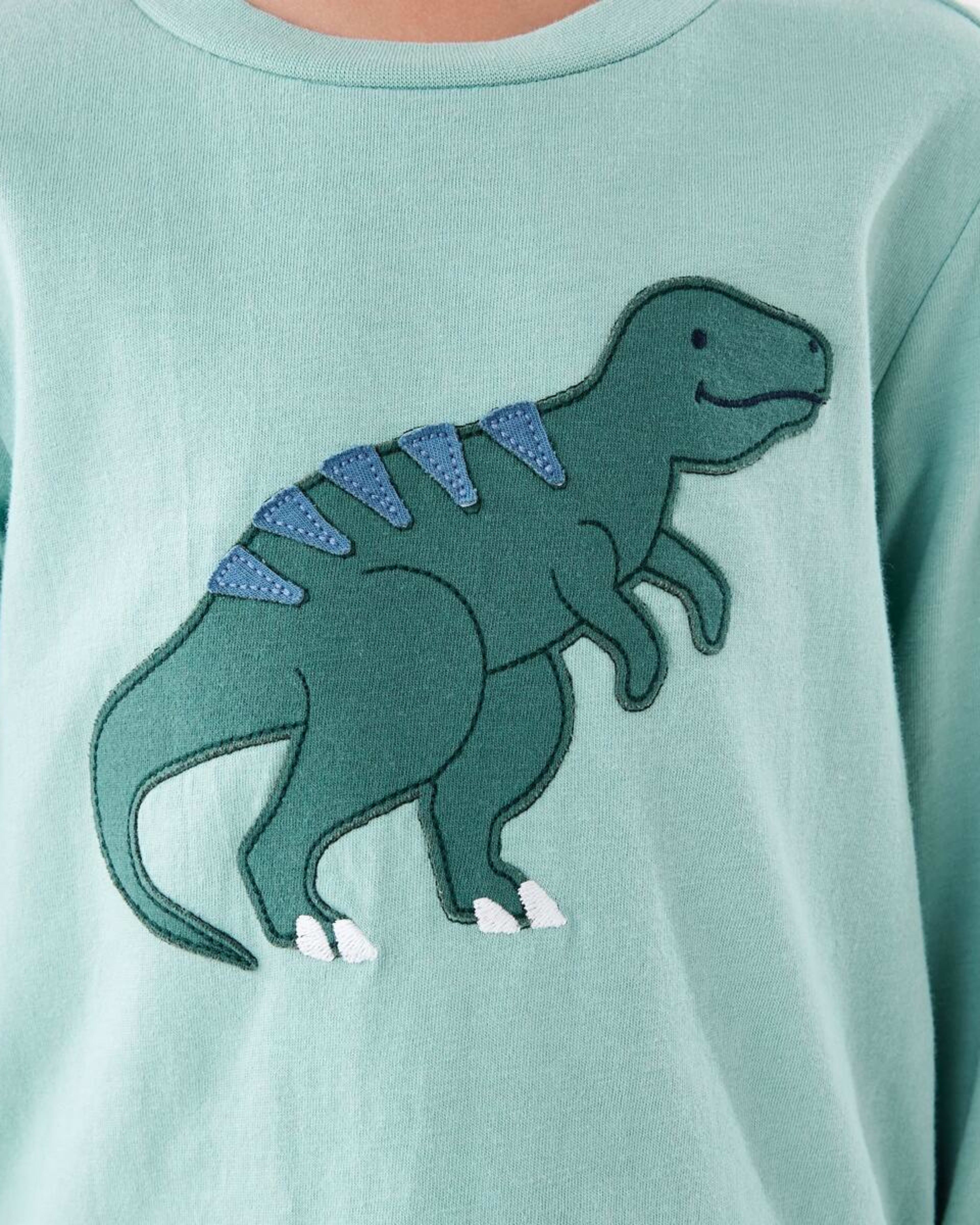 4 Knit Flannel Pyjama Set Grn Dino, 4 of 9