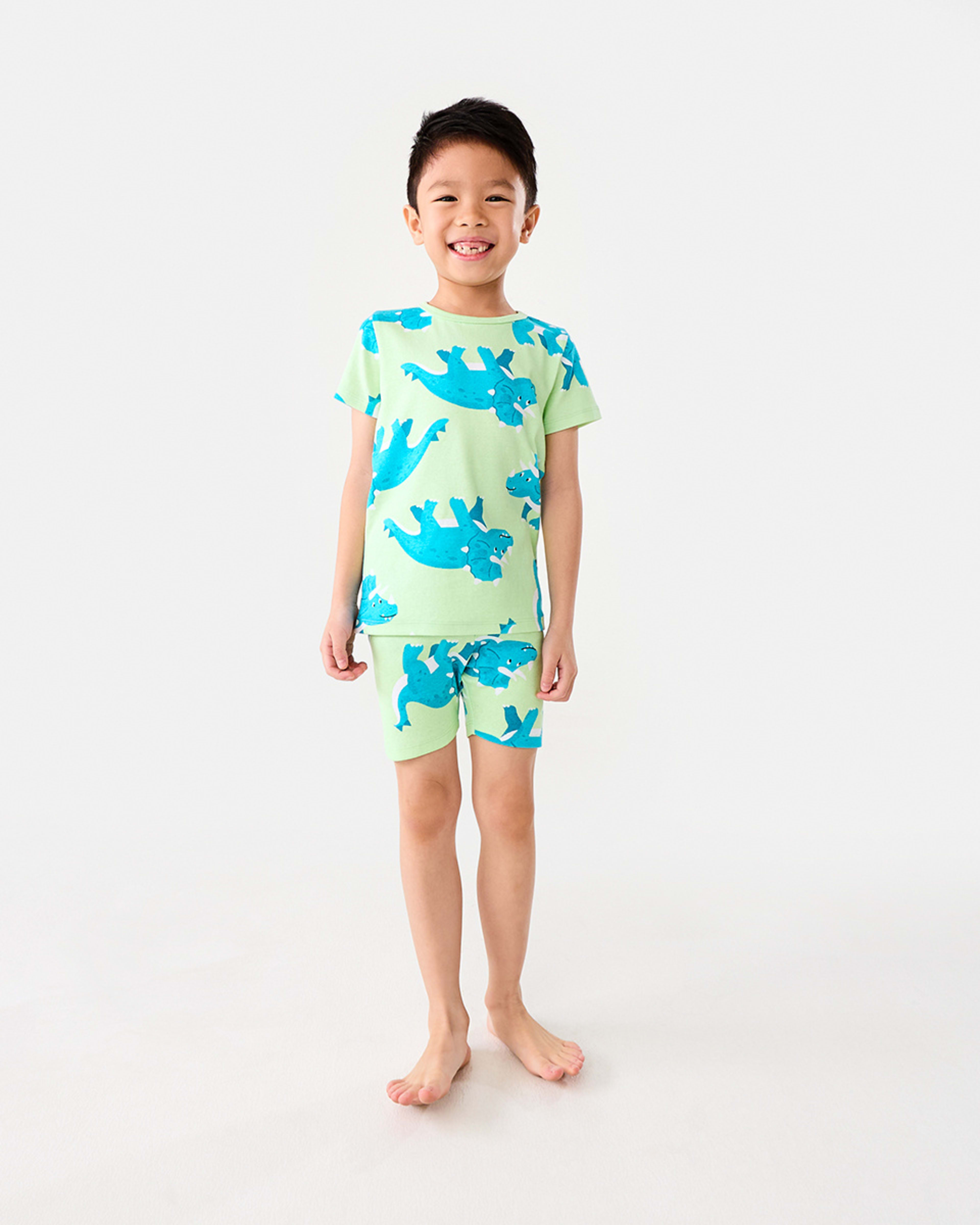 5 Short Sleeve Rib Knit Pyjama Set Dinopatgrn, 5 of 10
