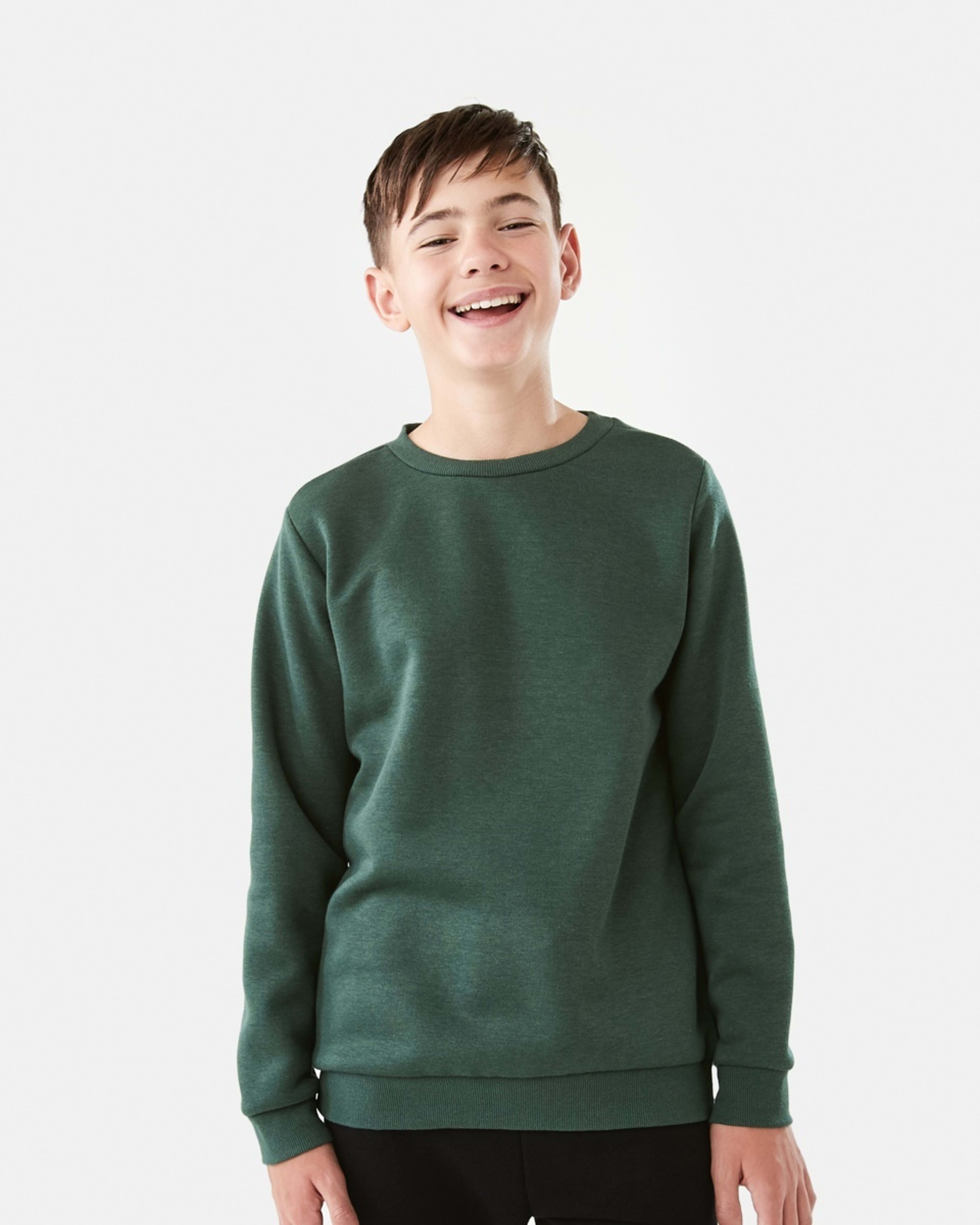 1 Basic Crew Sweatshirt Sycamore, 1 of 10