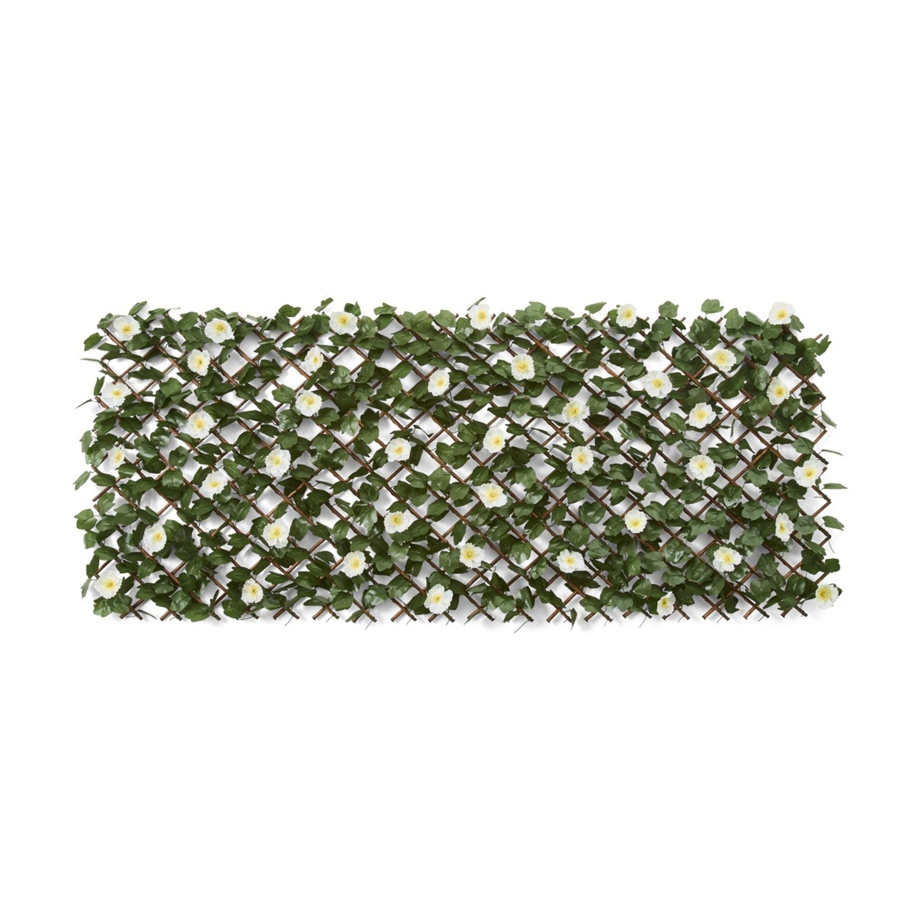 1 Flower Concertina, 1 of 6