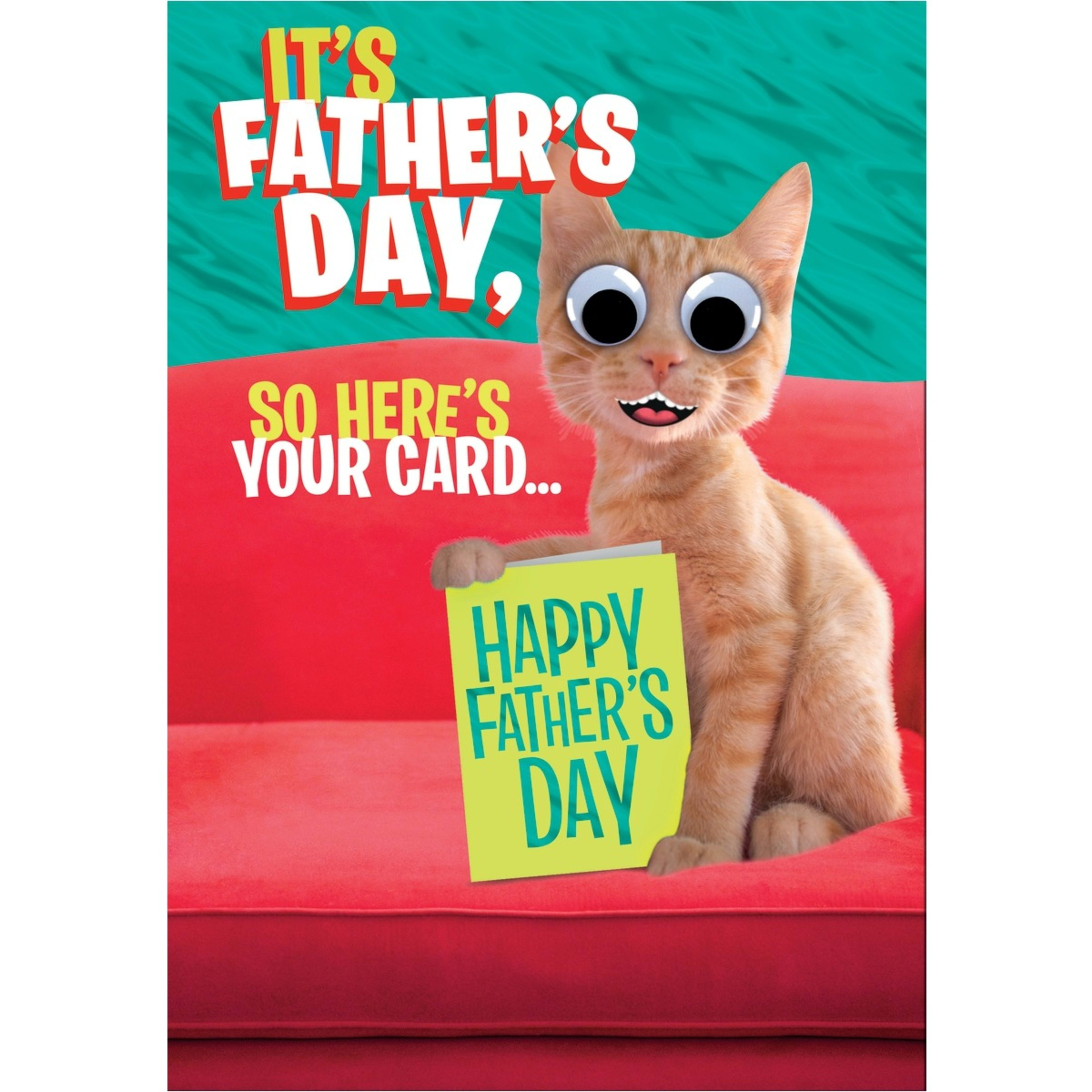 1 Hallmark Father's Day Card - Life Lessons