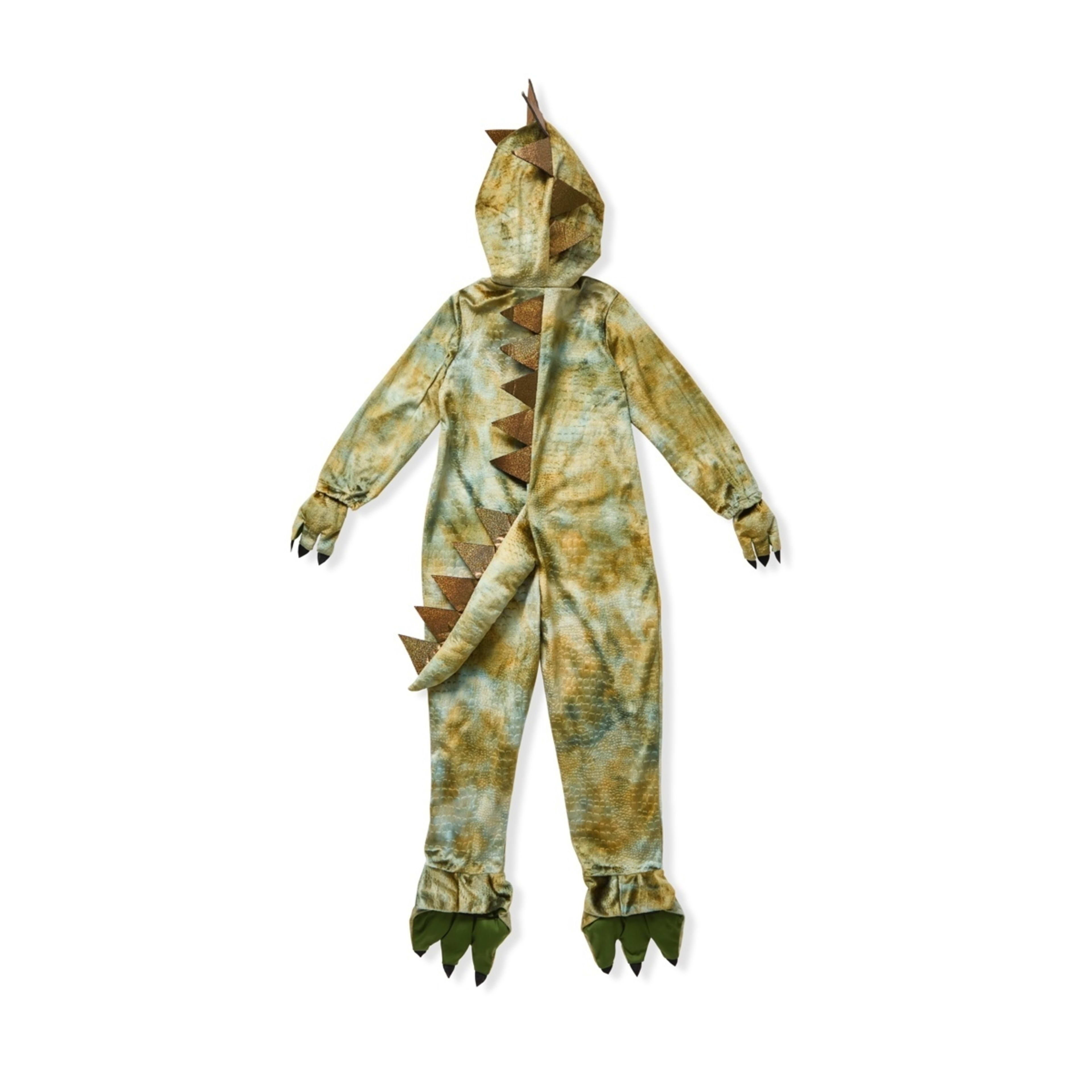 9 Dinosaur Costume - Ages 6-8, 9 of 10