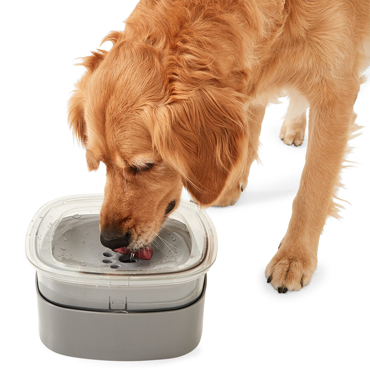 Pet Floating Bowl