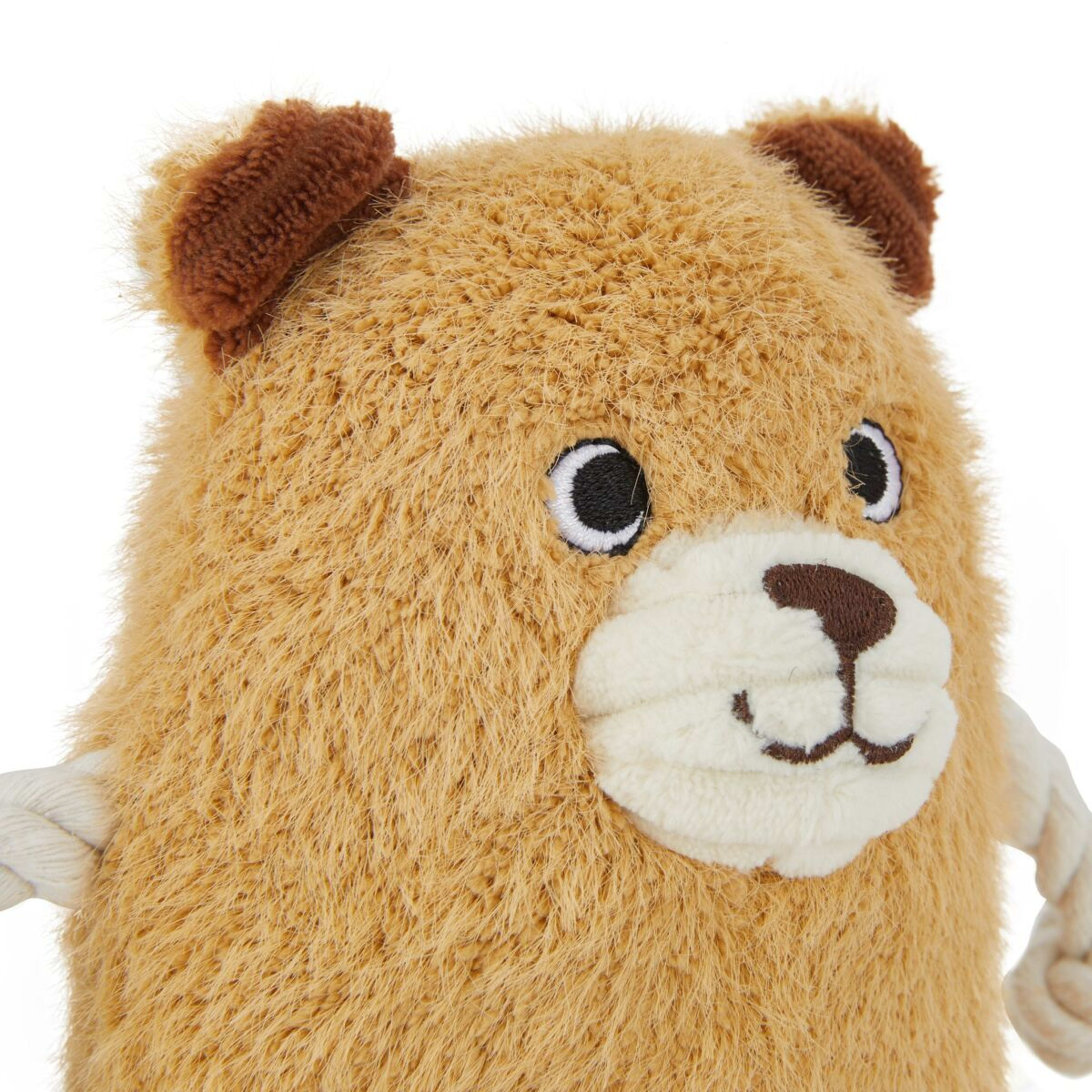 5 Pet Toy Super Soft Plush - Teddy, 5 of 7