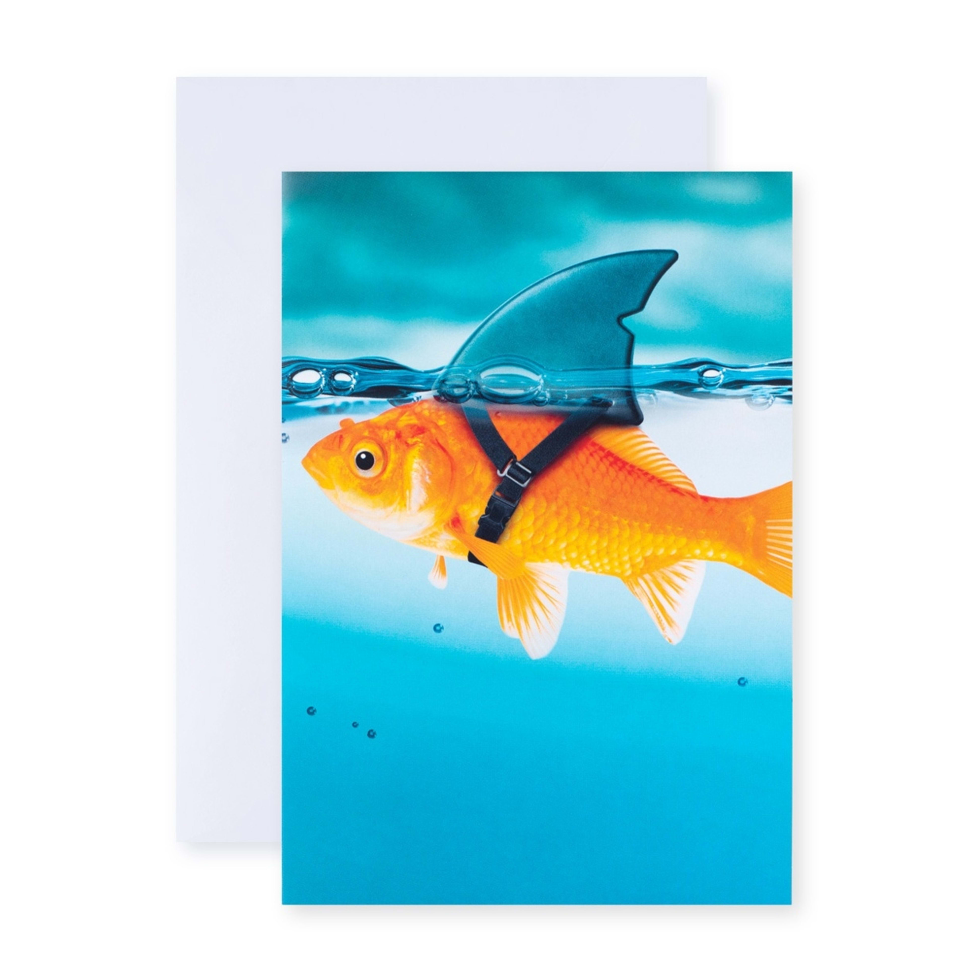 1 Connections by Hallmark Birthday Card - Goldfish Humour