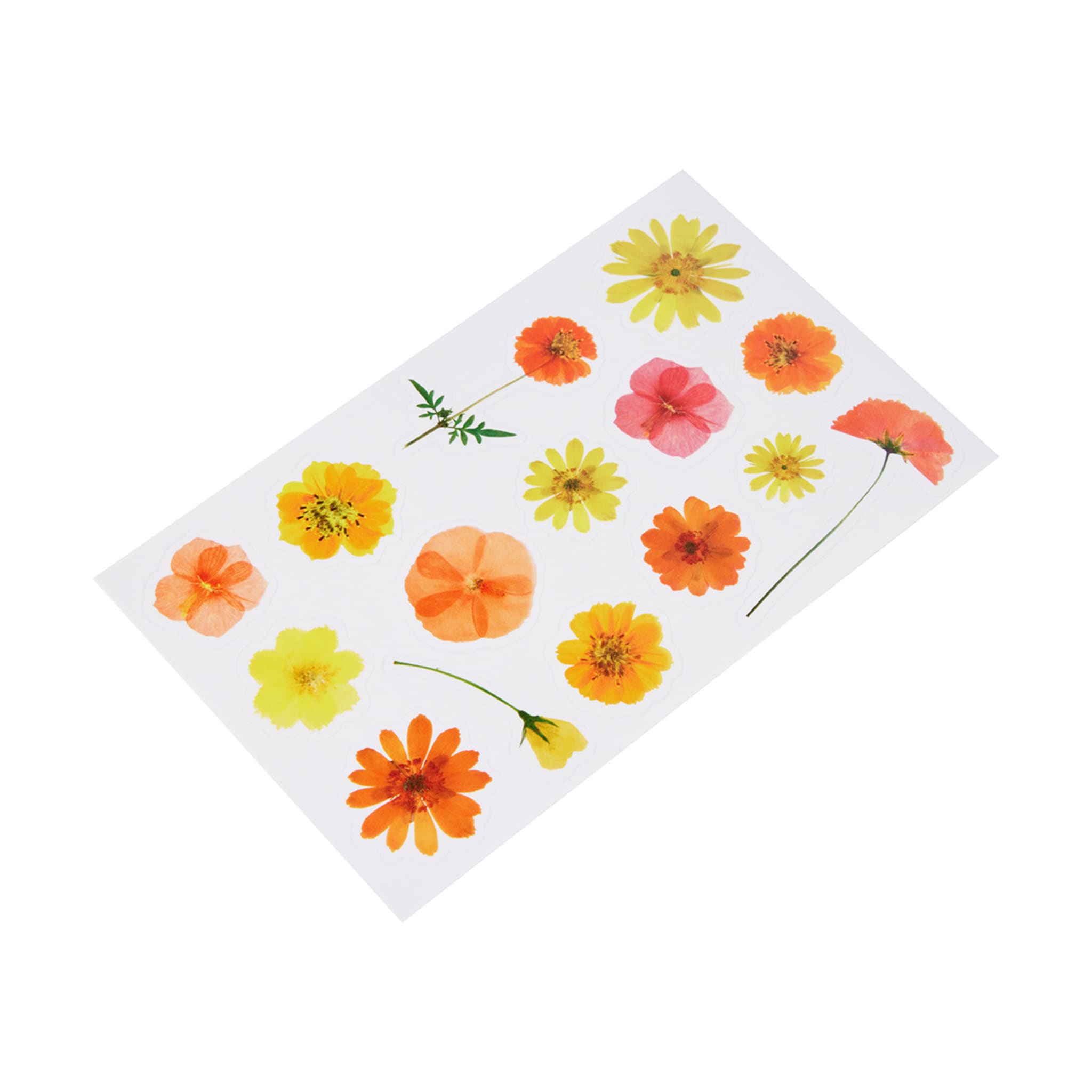 6 Pack Pressed Flower Stickers Kmart