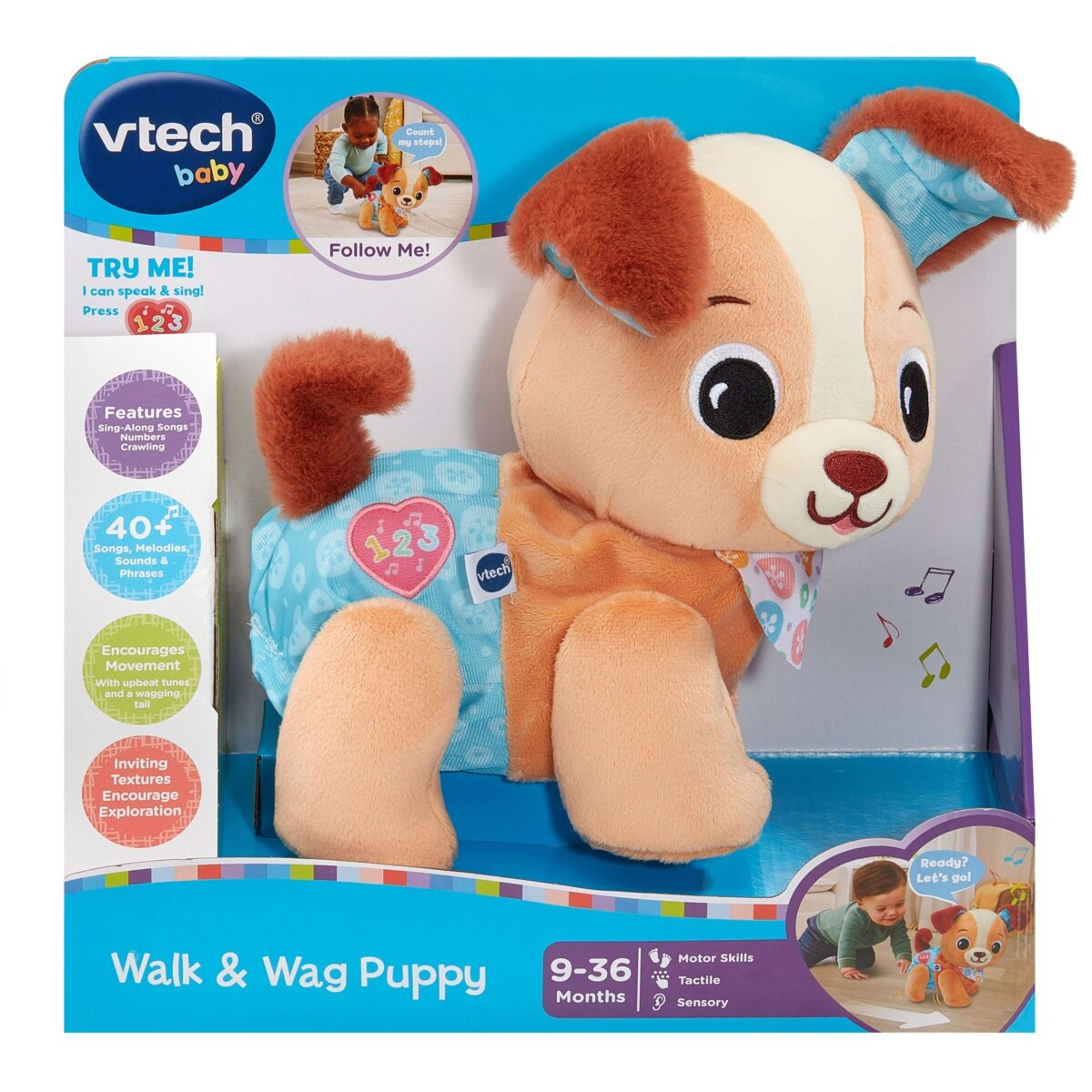 1 VTech Baby Walk & Wag Puppy