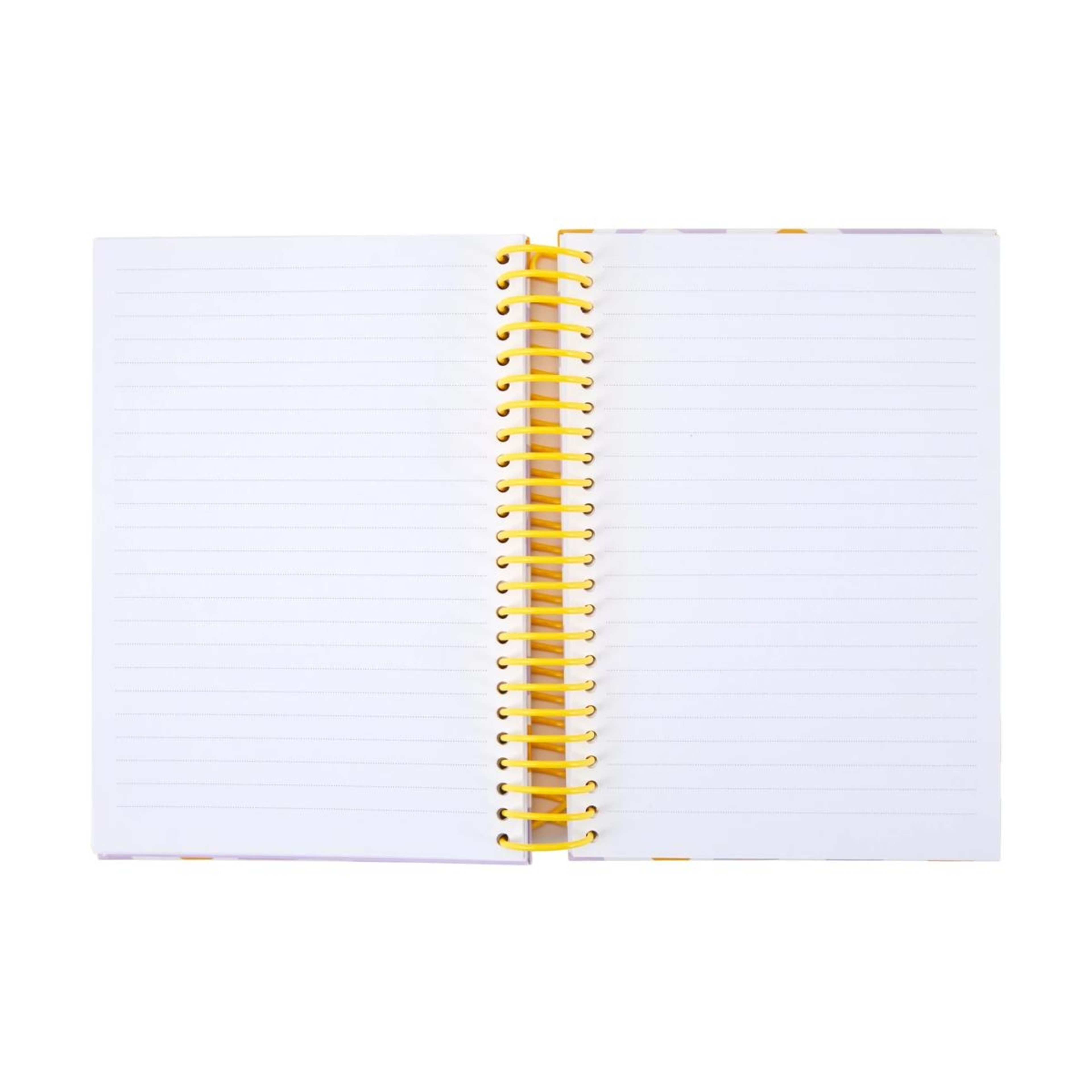 2 Egg Notebook, 2 of 4