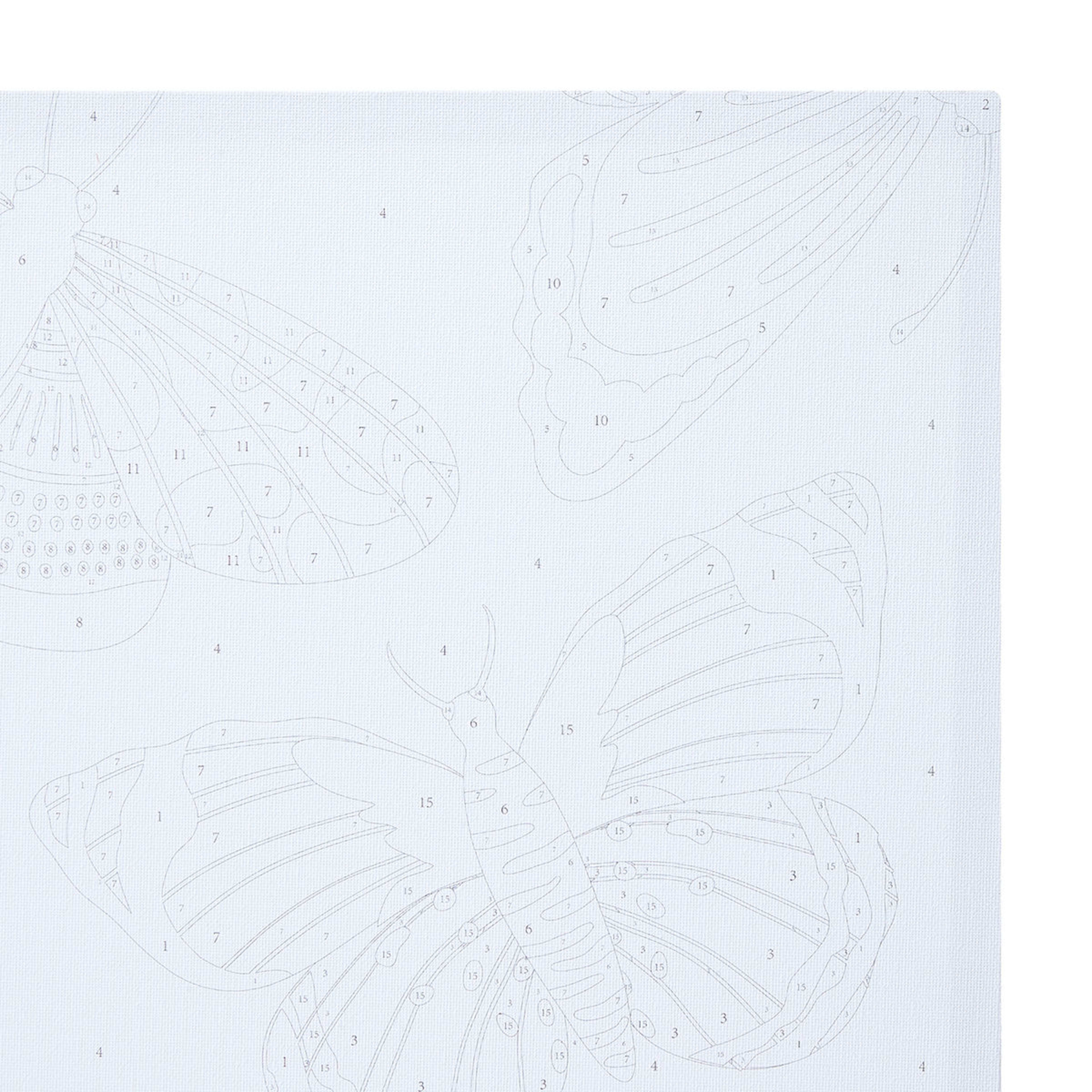 Paint by Numbers Butterfly Kmart NZ