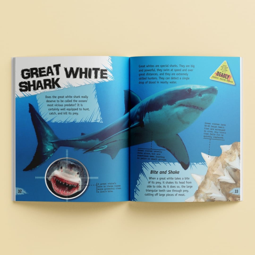 Incredible But True Deadly Predators Book Kmart