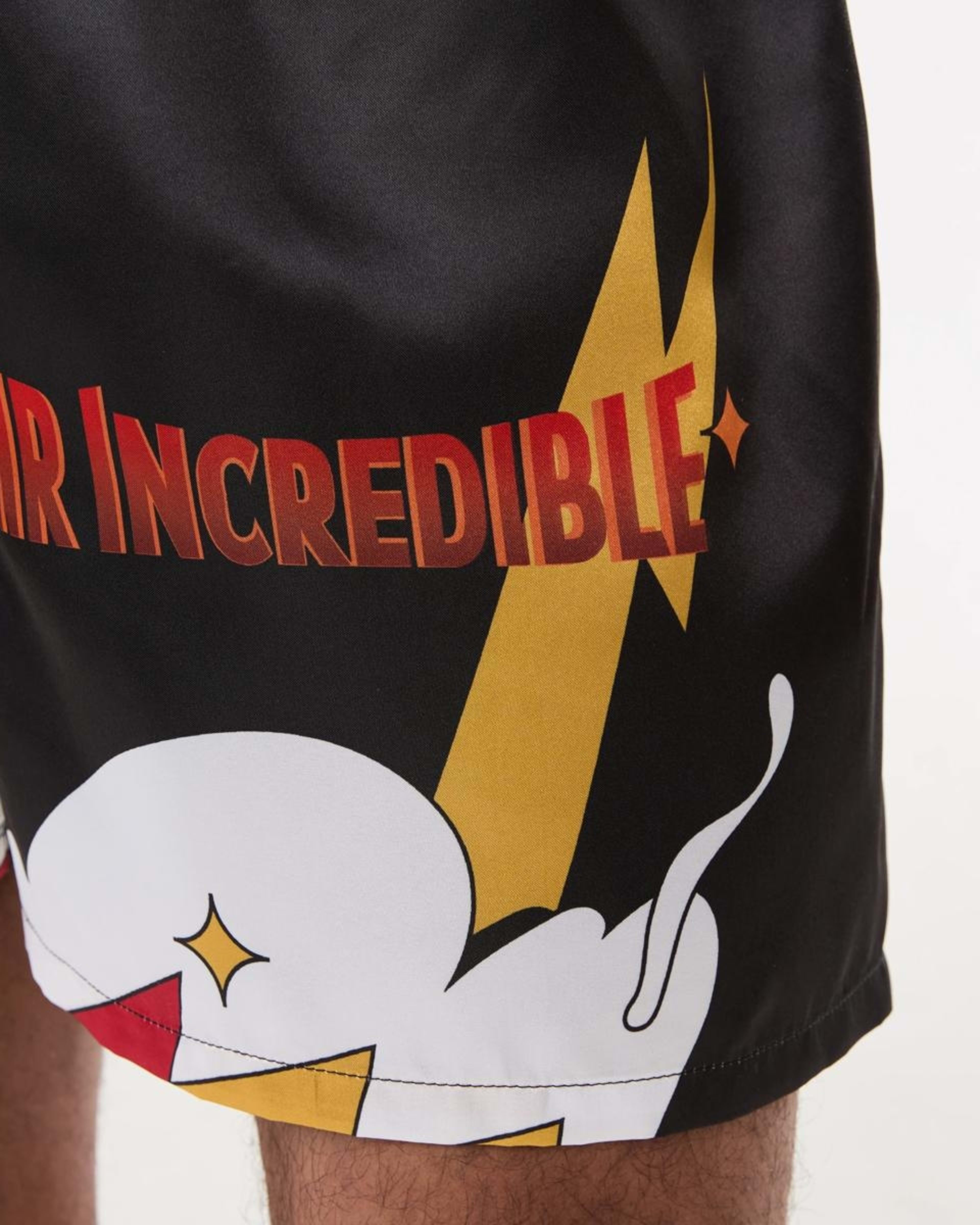 4 Mr Incredible License Boxers MR INCREDIBLE, 4 of 7