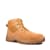 Wheat