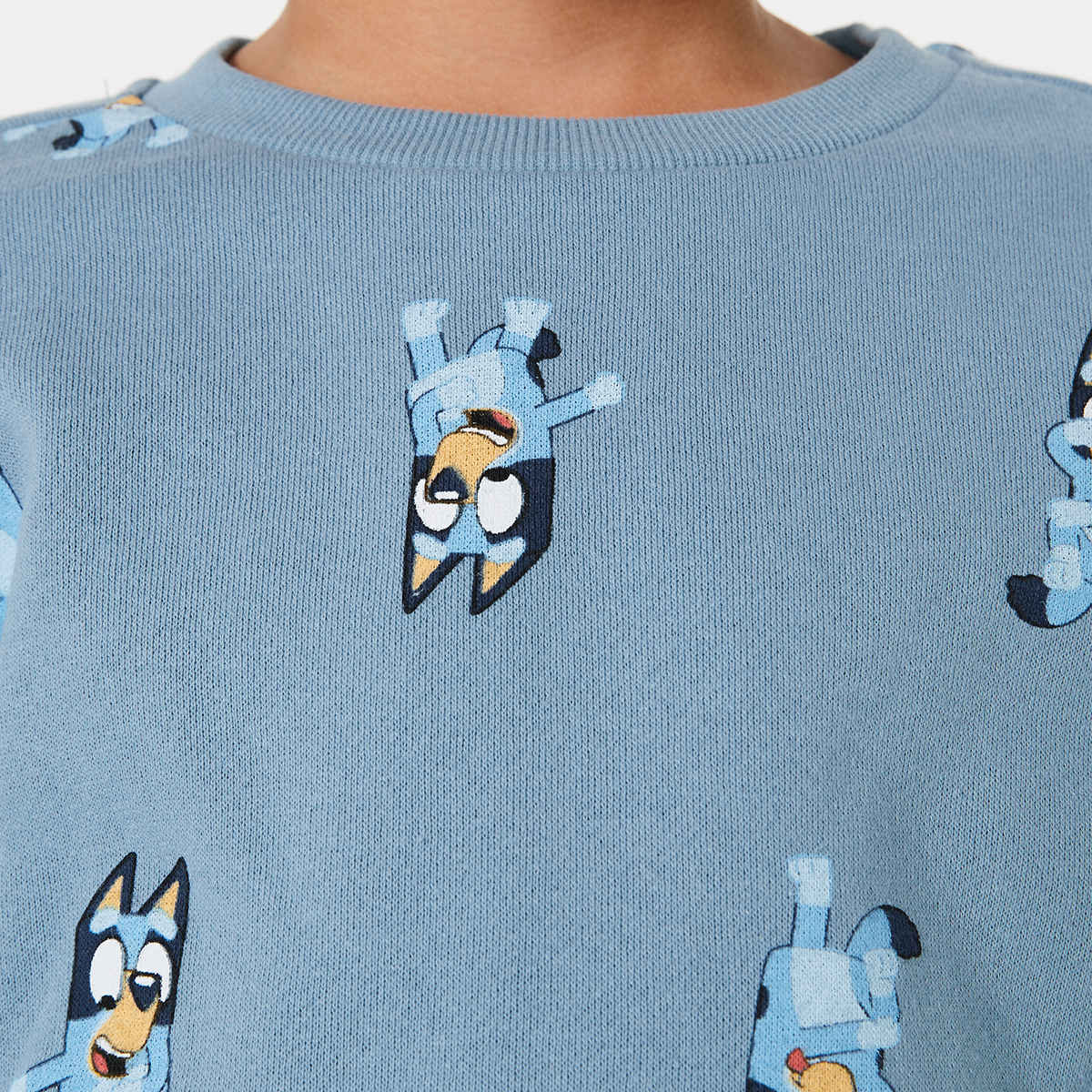 Bluey License Crew Neck Sweatshirt Kmart