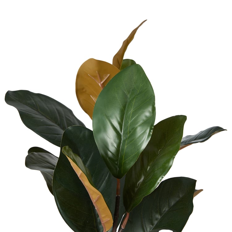 Artificial Fiddle Leaf in Pom Pom Pot Kmart