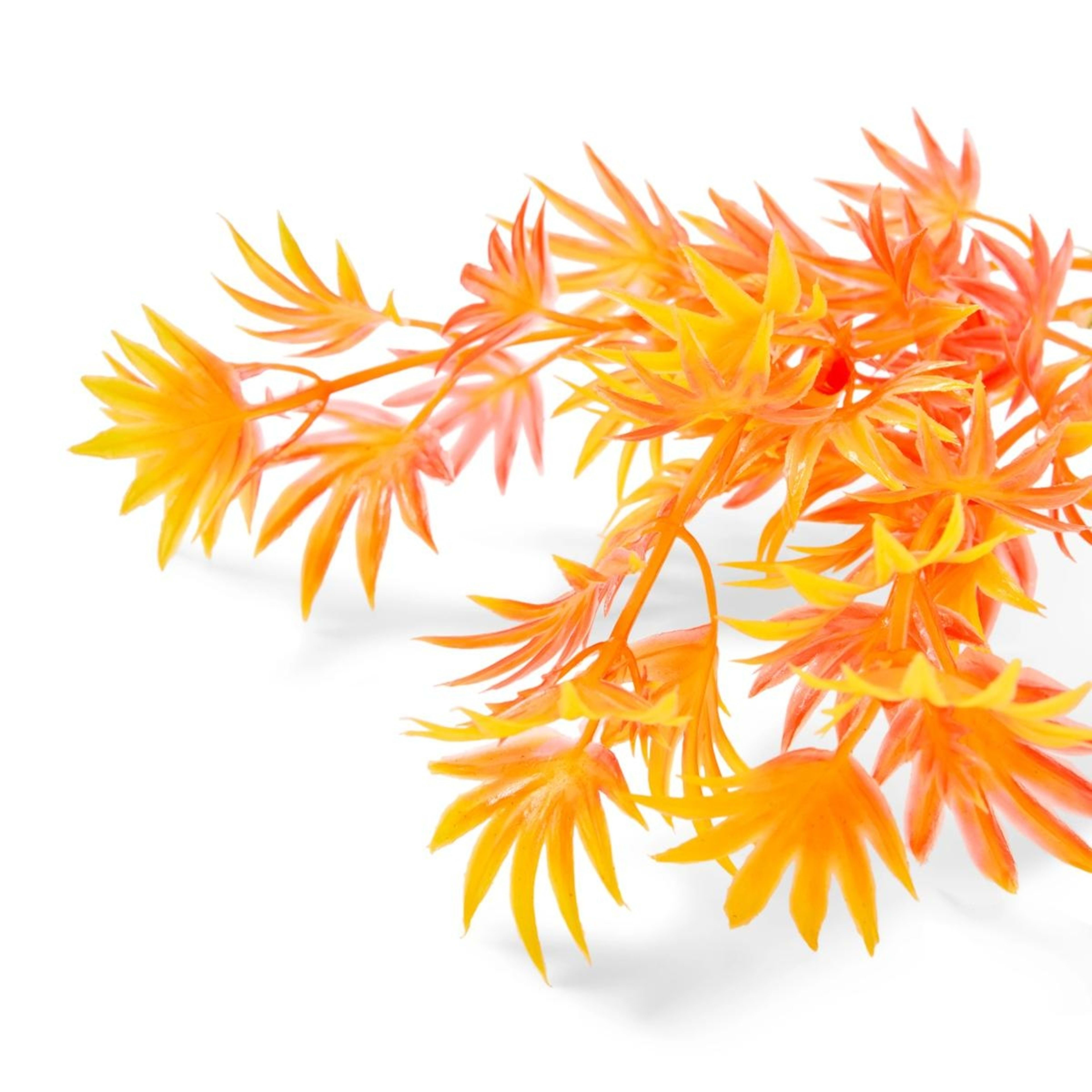 4 6 Pack Aquarium Bright Plants - Small, 4 of 10