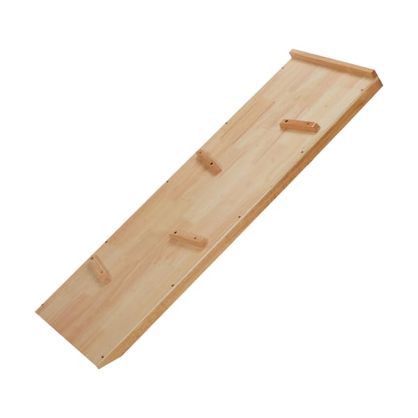 Climbing Ramp and Slide    