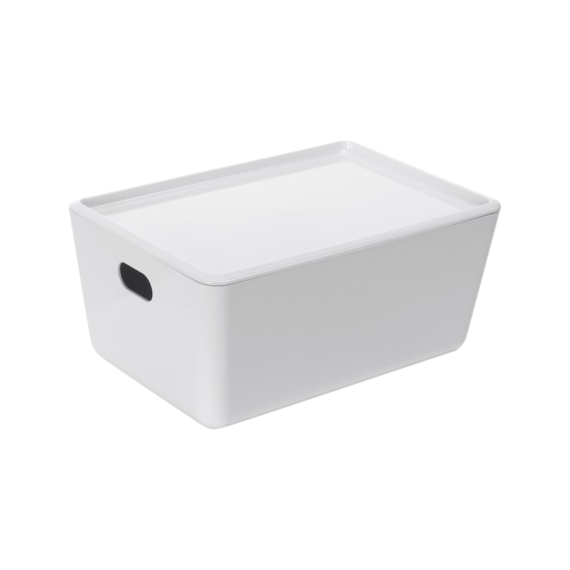 Smooth and Shiny Small Plastic Tub Kmart