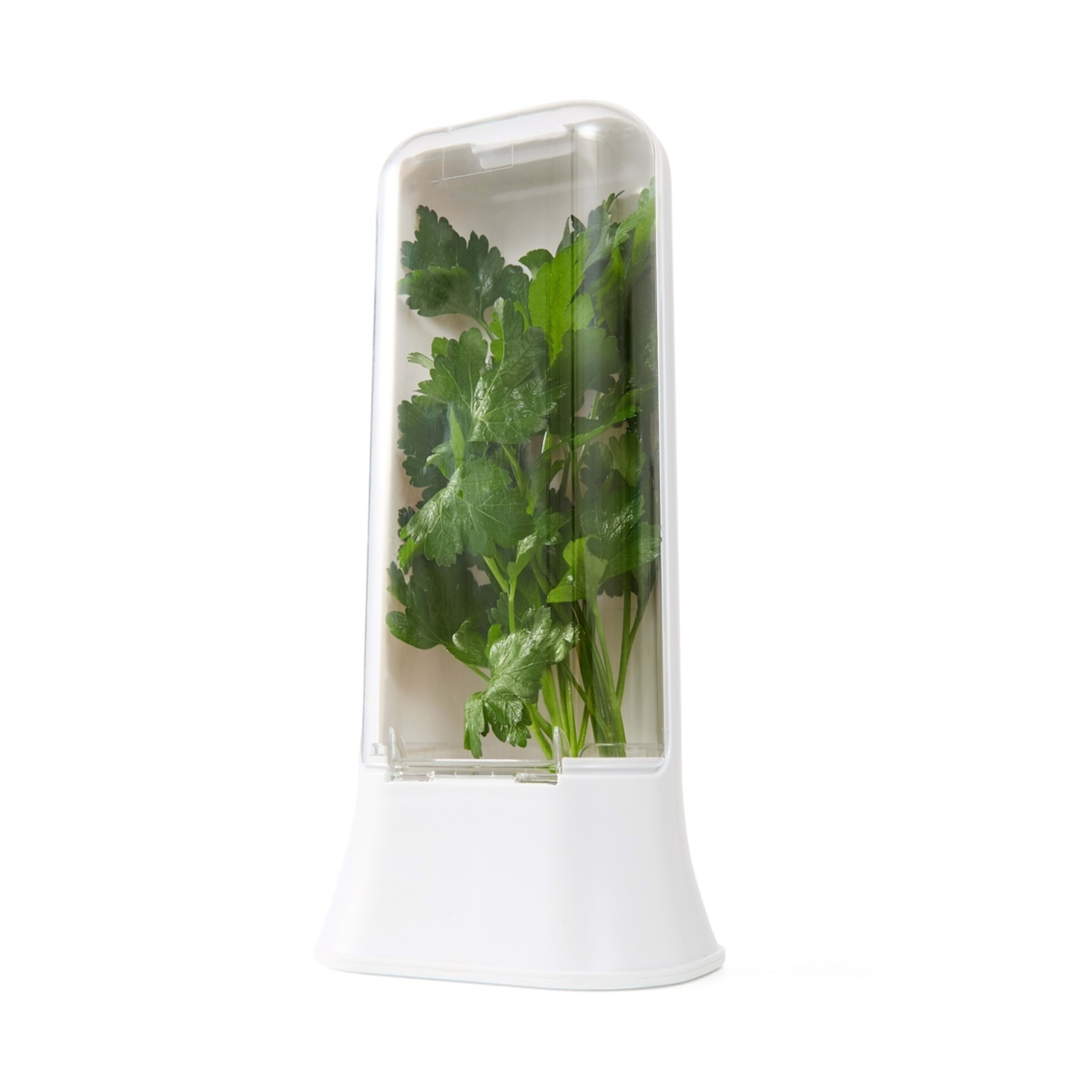 1 Herb Keep Savers, 1 of 10