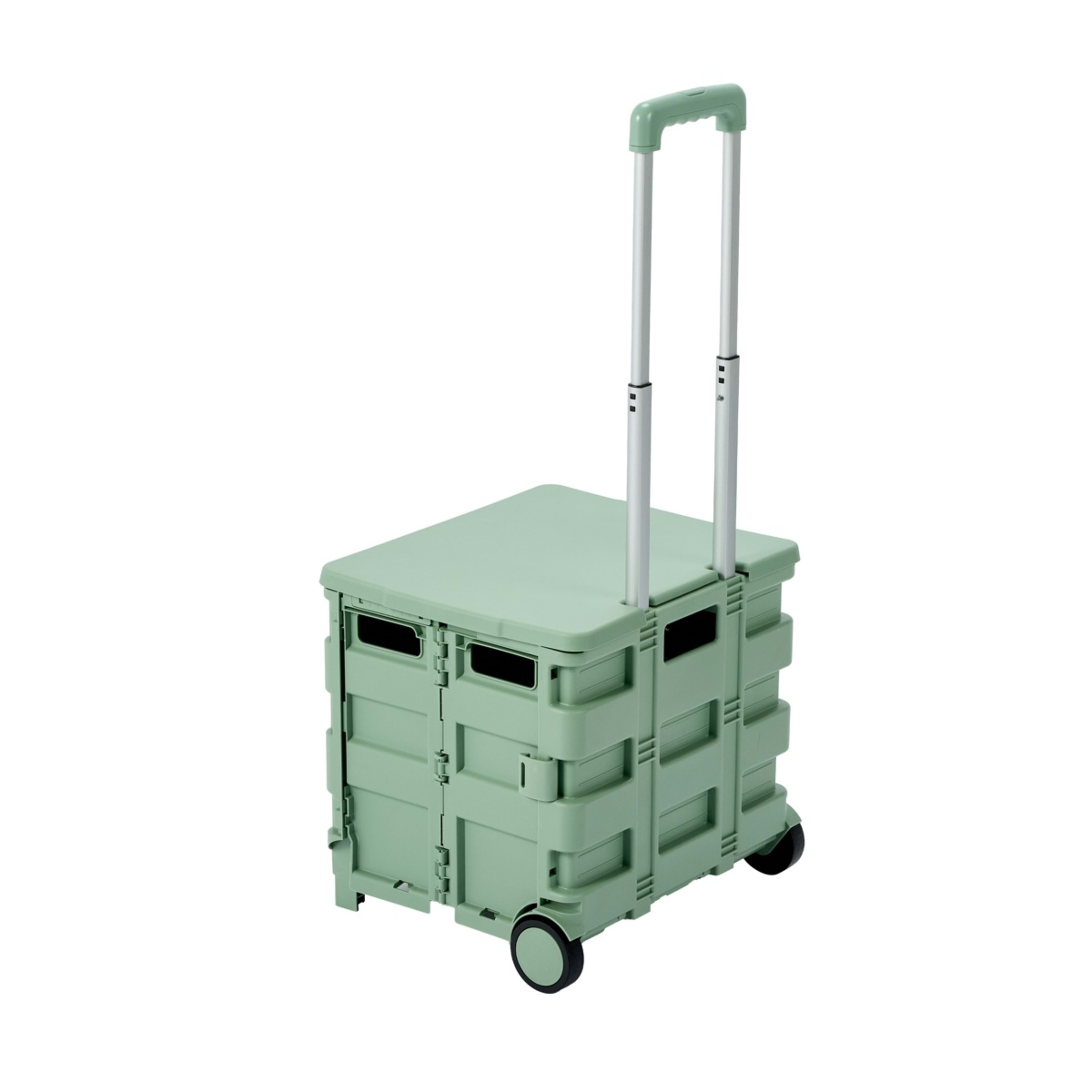 1 Collapsible Trolley Box - Sage