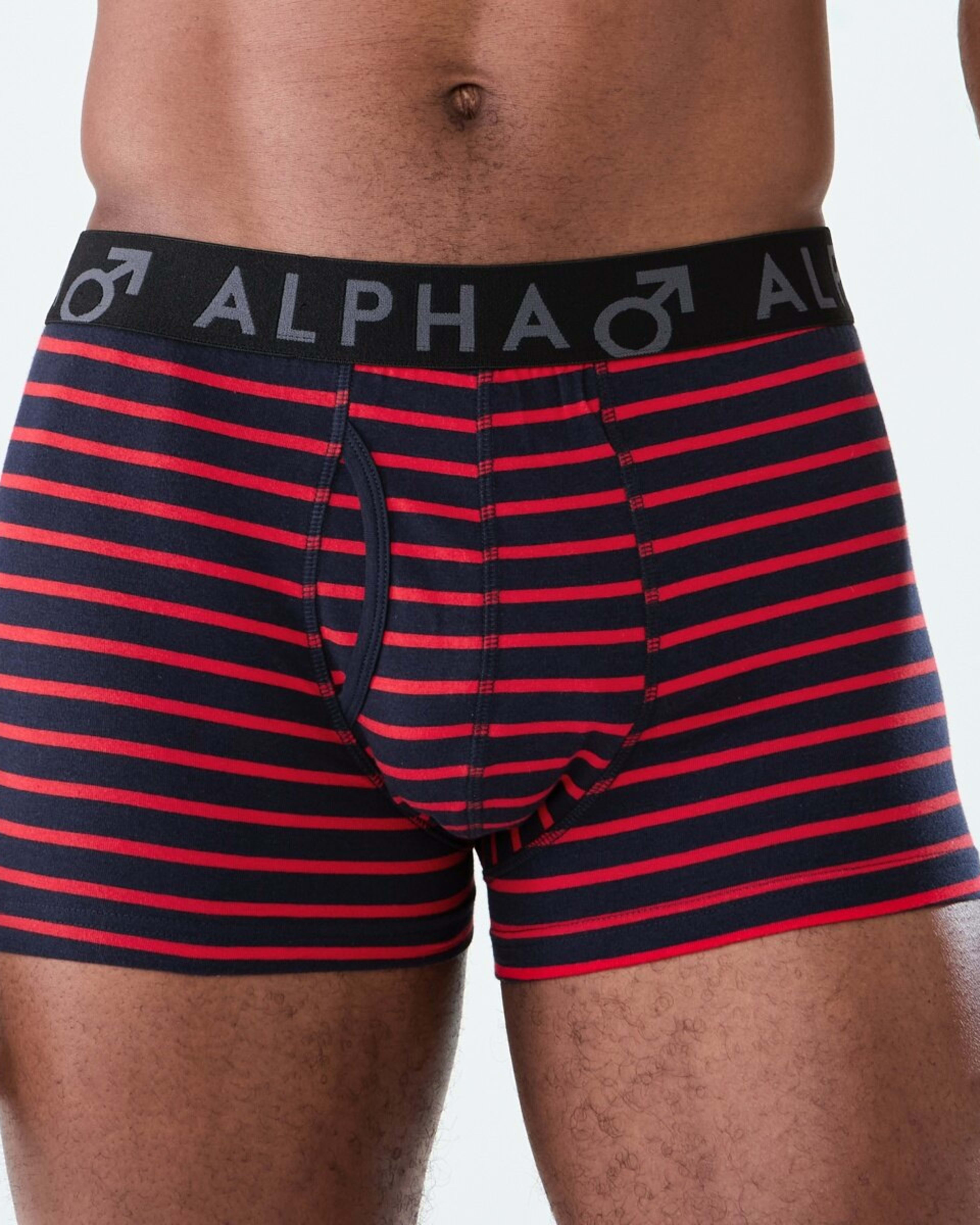 2 3 Pack Fly Front Stripe Trunks PREP STRIPE, 2 of 8