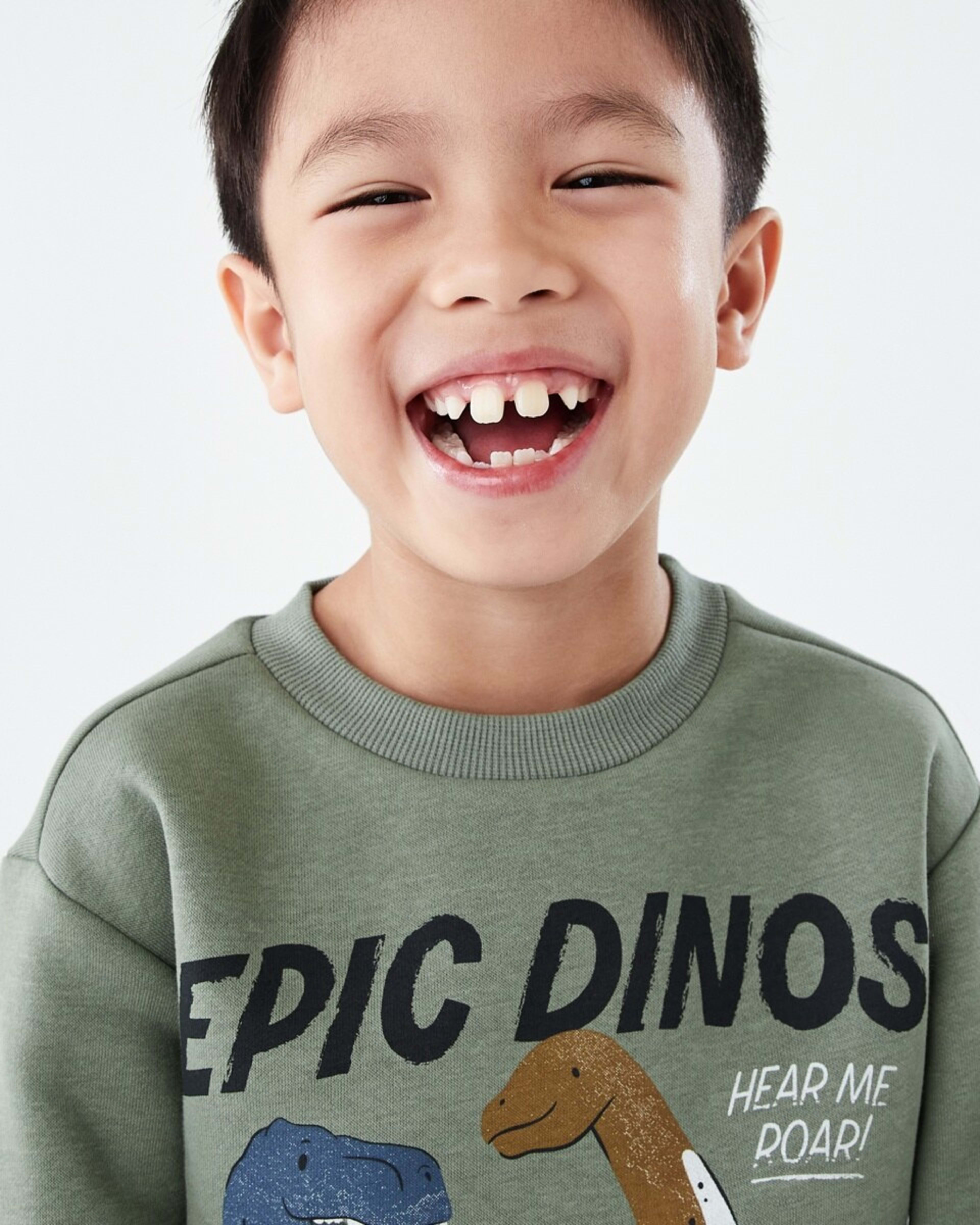 3 Print Crew Neck Sweatshirt Grn Dino, 3 of 6