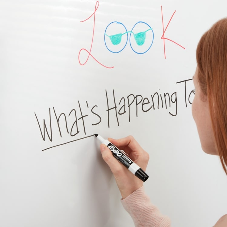 4 Pack Expo Dry Erase Whiteboard Marker Bullet Tip Business Assorted