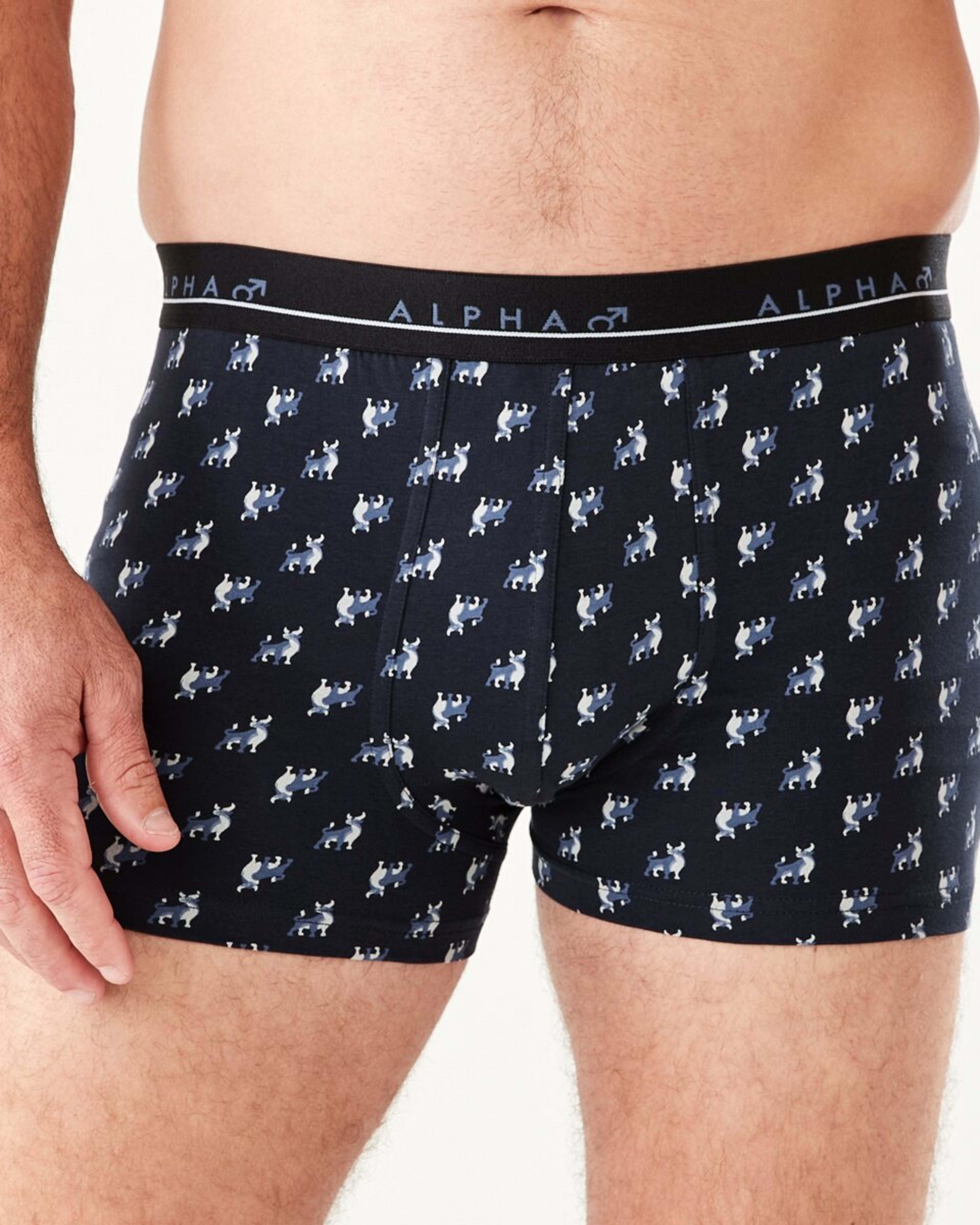 2 5 Pack Trunks BULL ICONS, 2 of 10