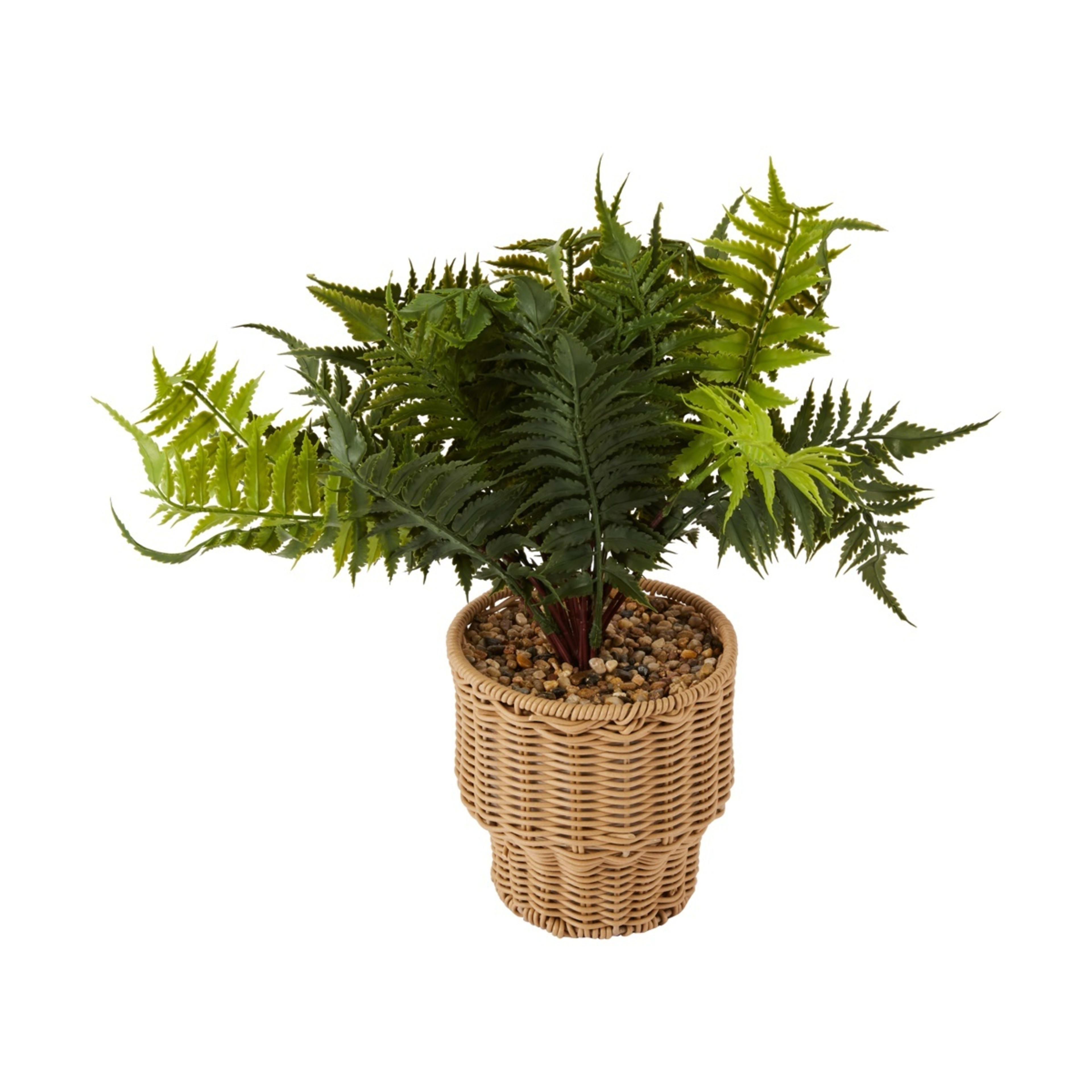 1 Artificial Fern in Pot