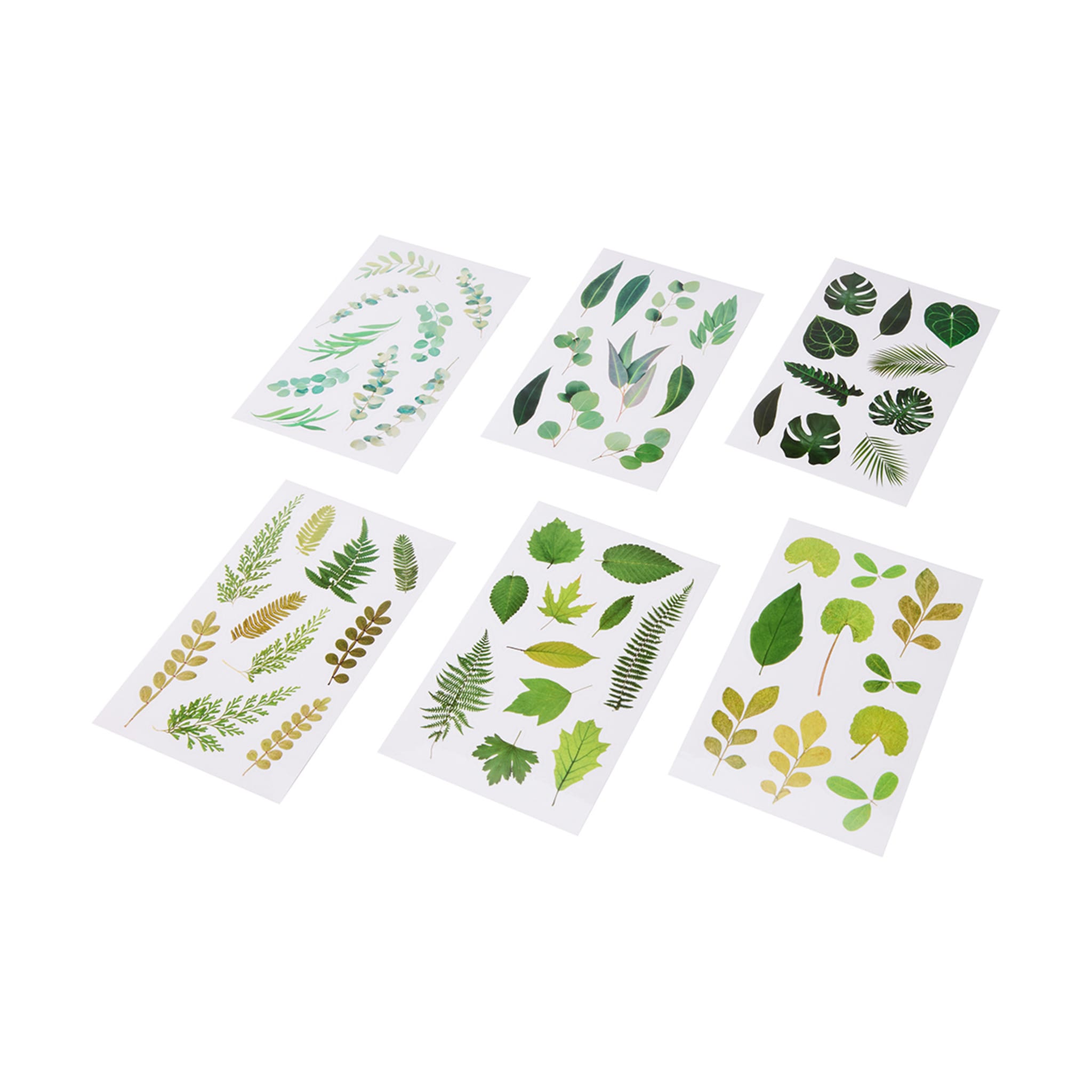 6 Pack Pressed Leaf Stickers Kmart