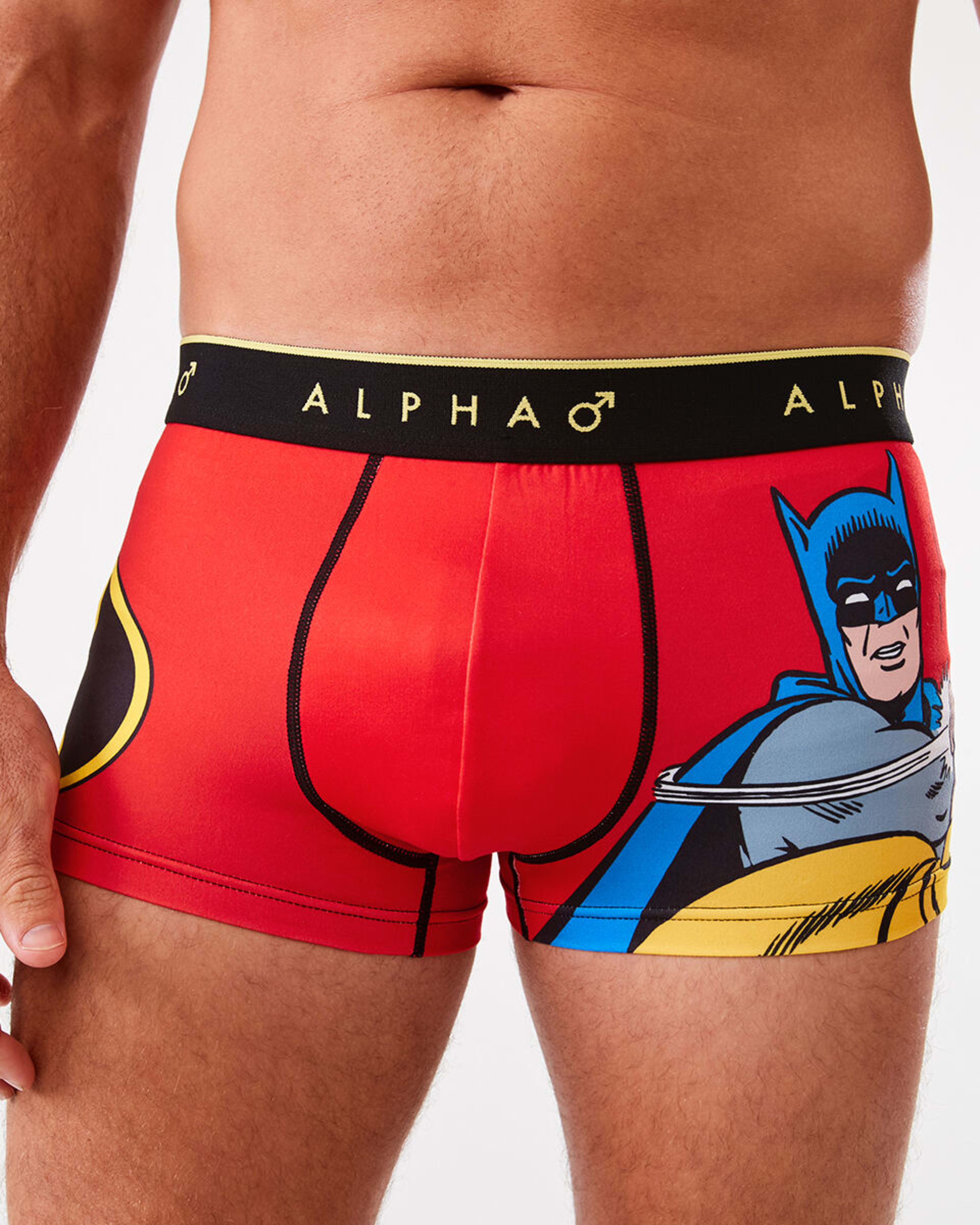 1 License Print Trunks Batman