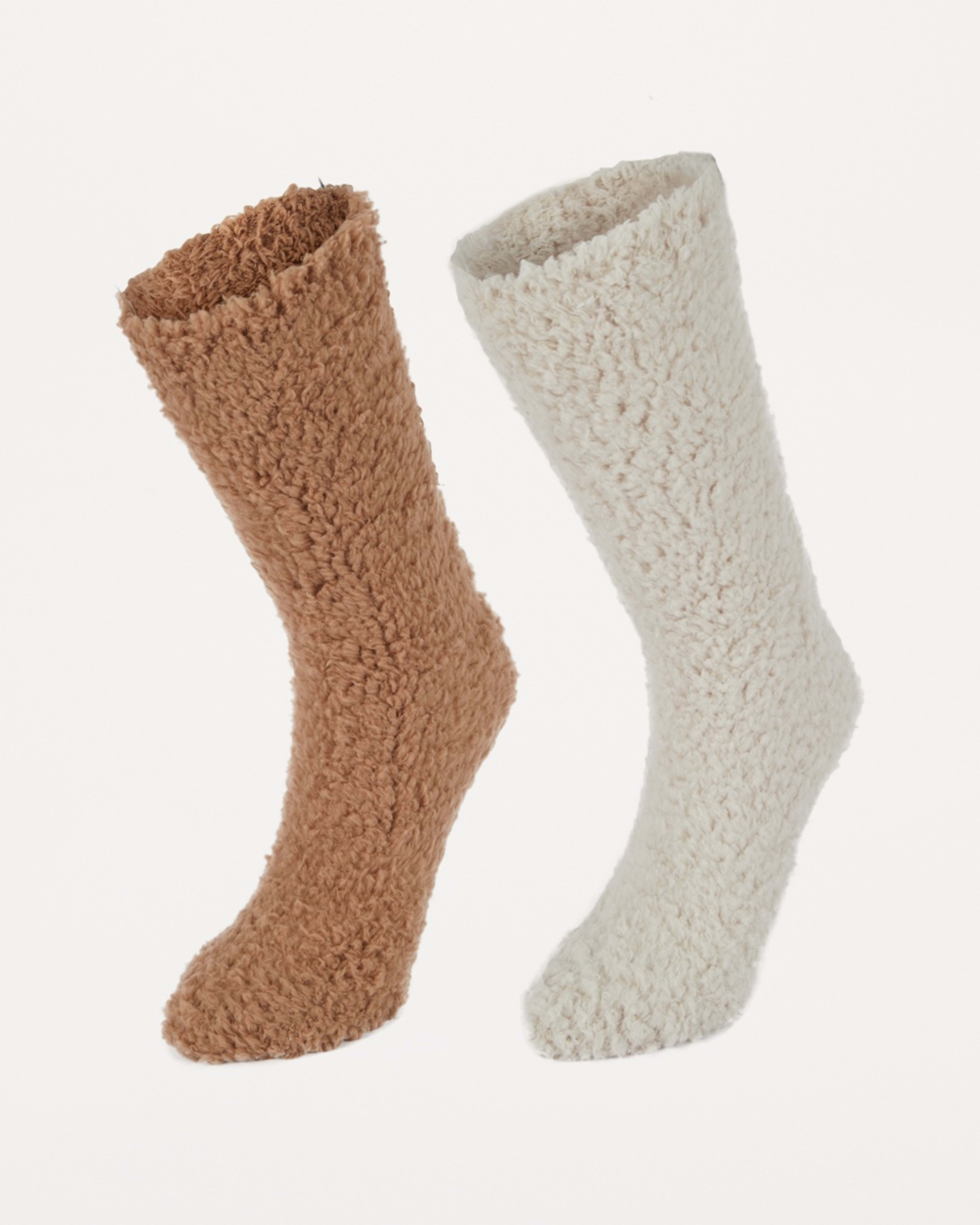 1 2 Pack Teddy Home Socks Cbge Cltt