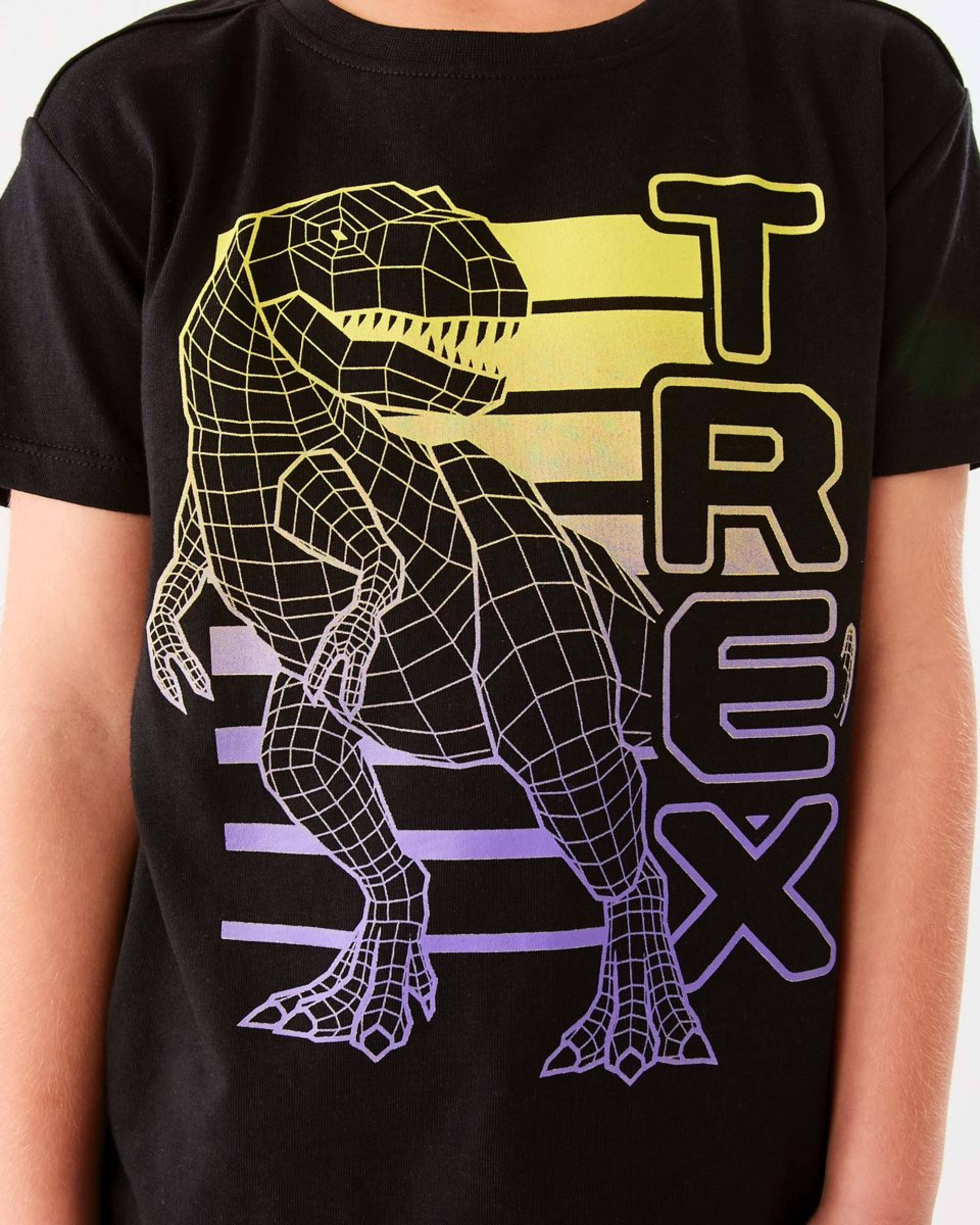 4 Chest Print T-shirt Black Dino, 4 of 8