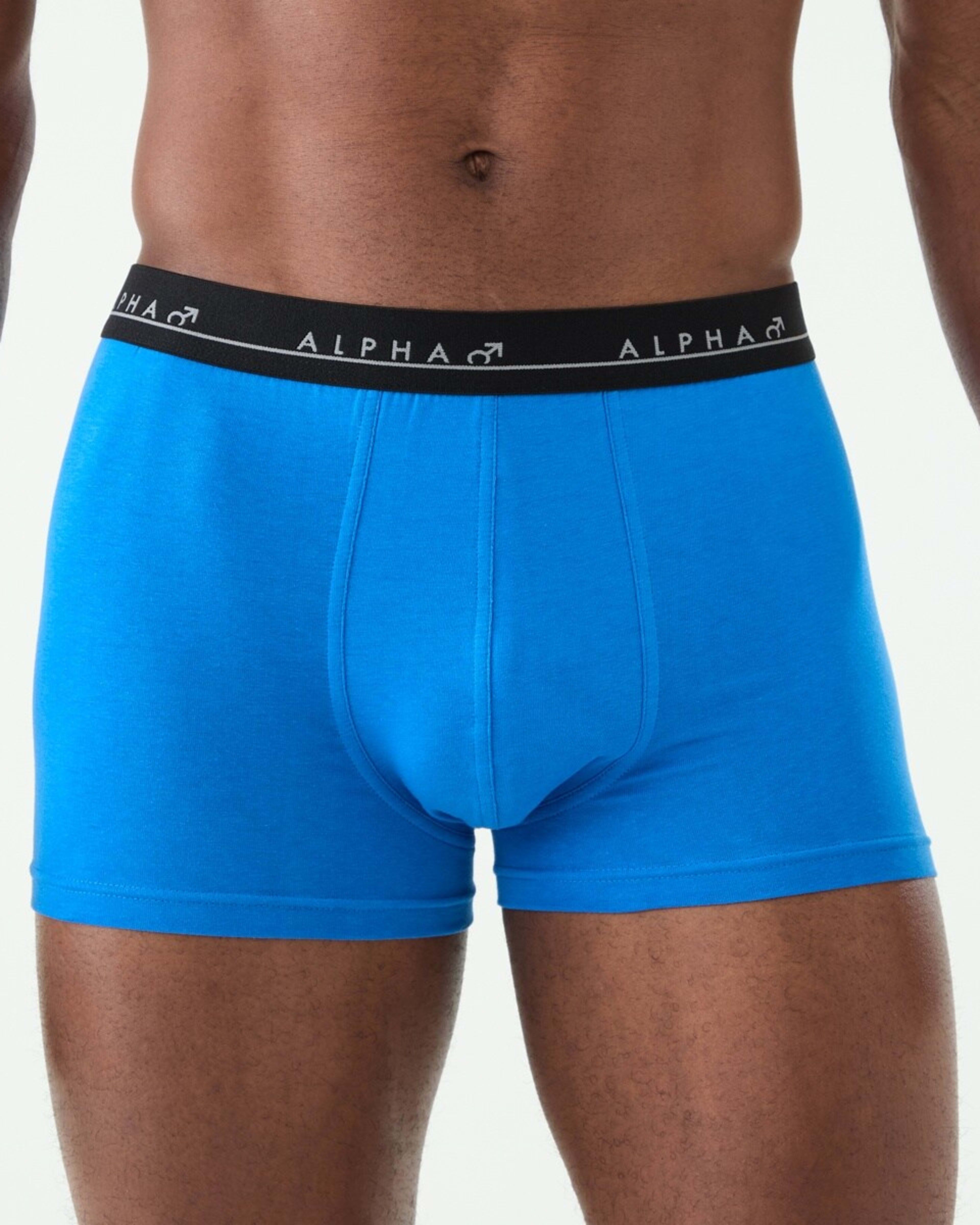 3 5 Pack Trunks MINI SEA LIFE, 3 of 10