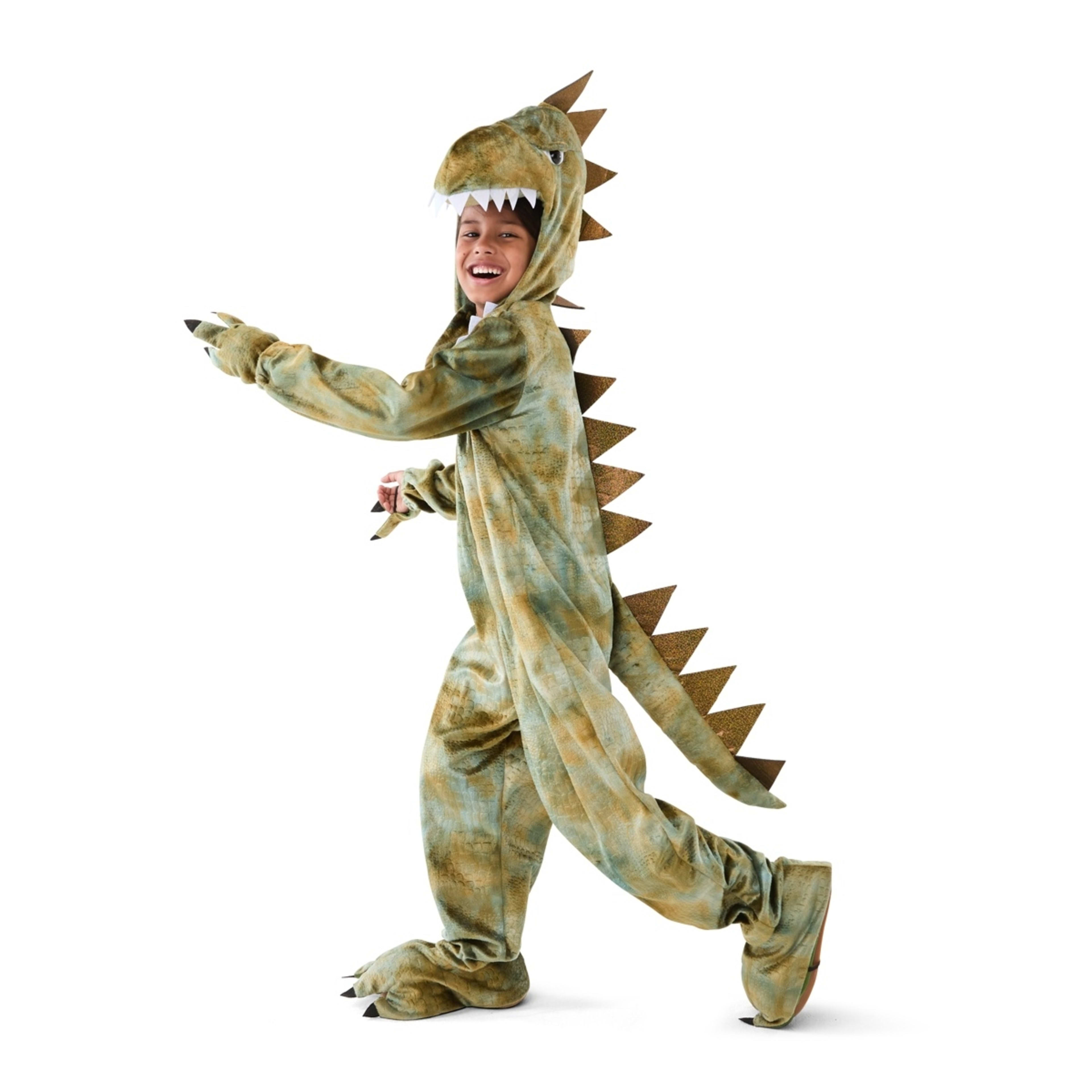 1 Dinosaur Costume - Ages 6-8, 1 of 10