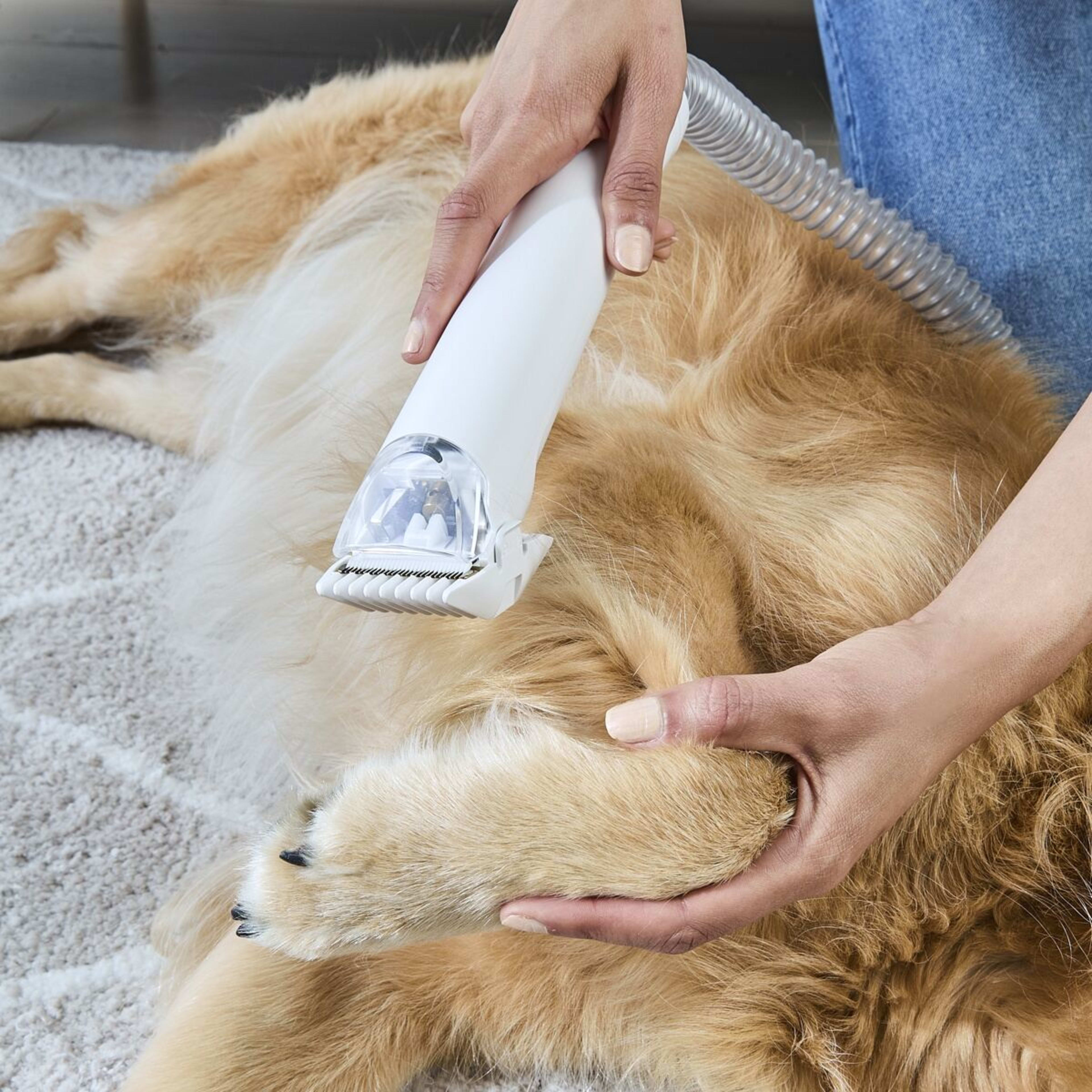 4 Pet Vacuum and Grooming Kit, 4 of 10