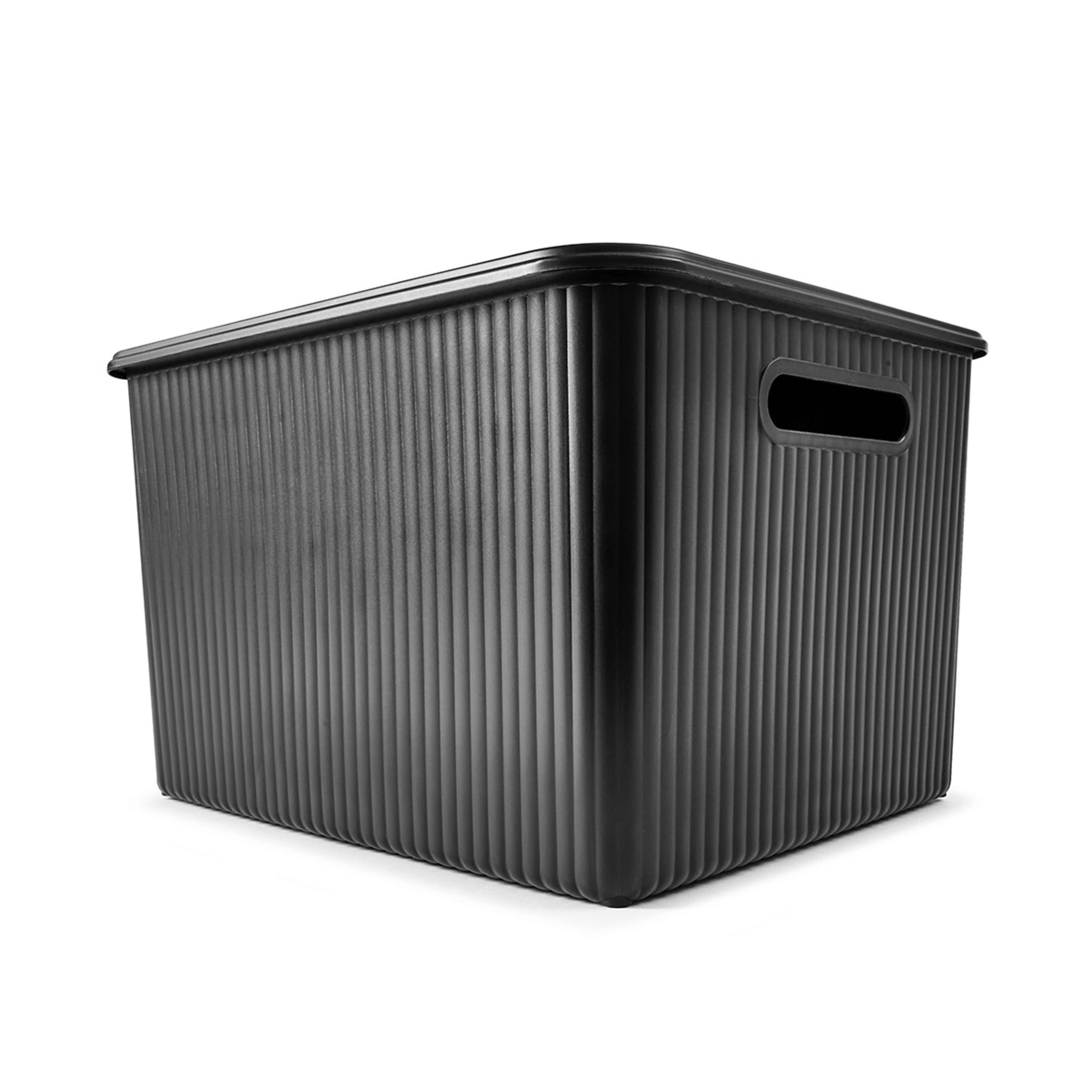 1 18L Ribbed Container - Black, 1 of 10