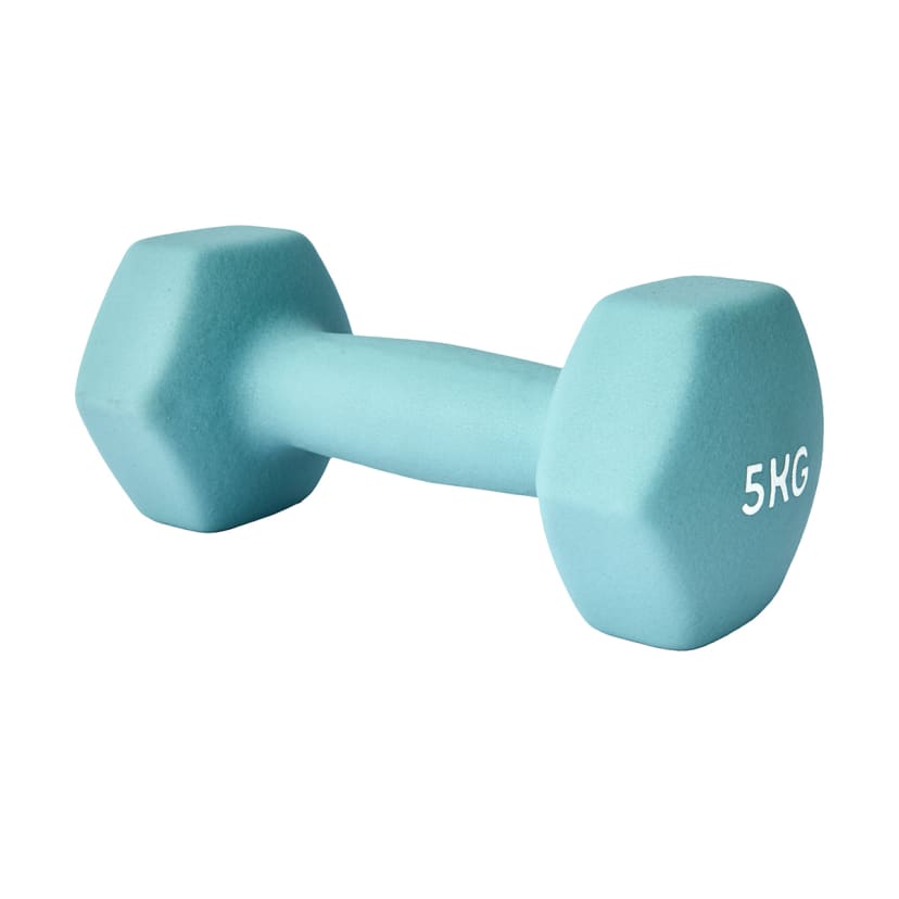 5kg Dumbbell - Kmart