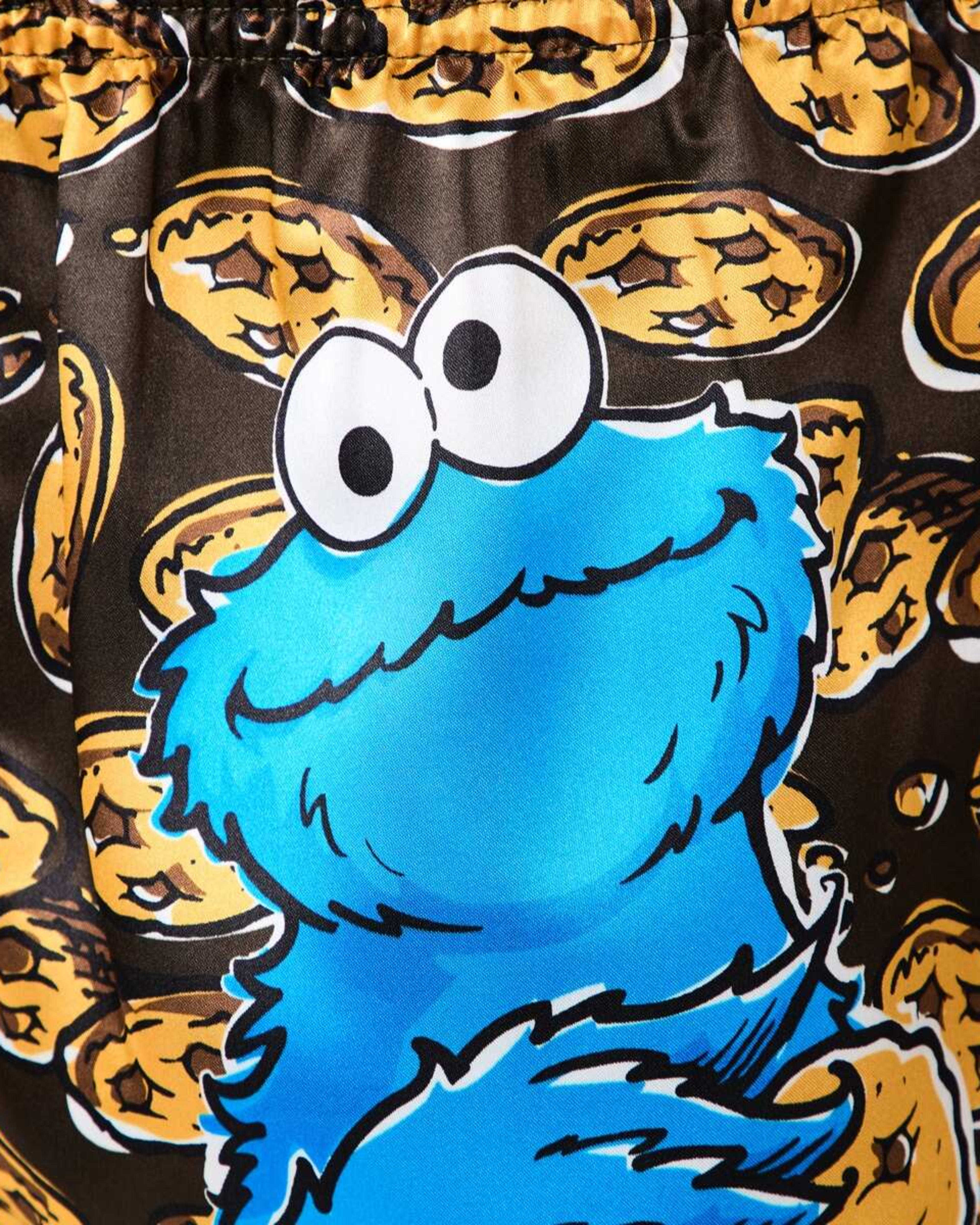 5 Cookie Monster License Boxers COOKIE MONSTER, 5 of 6