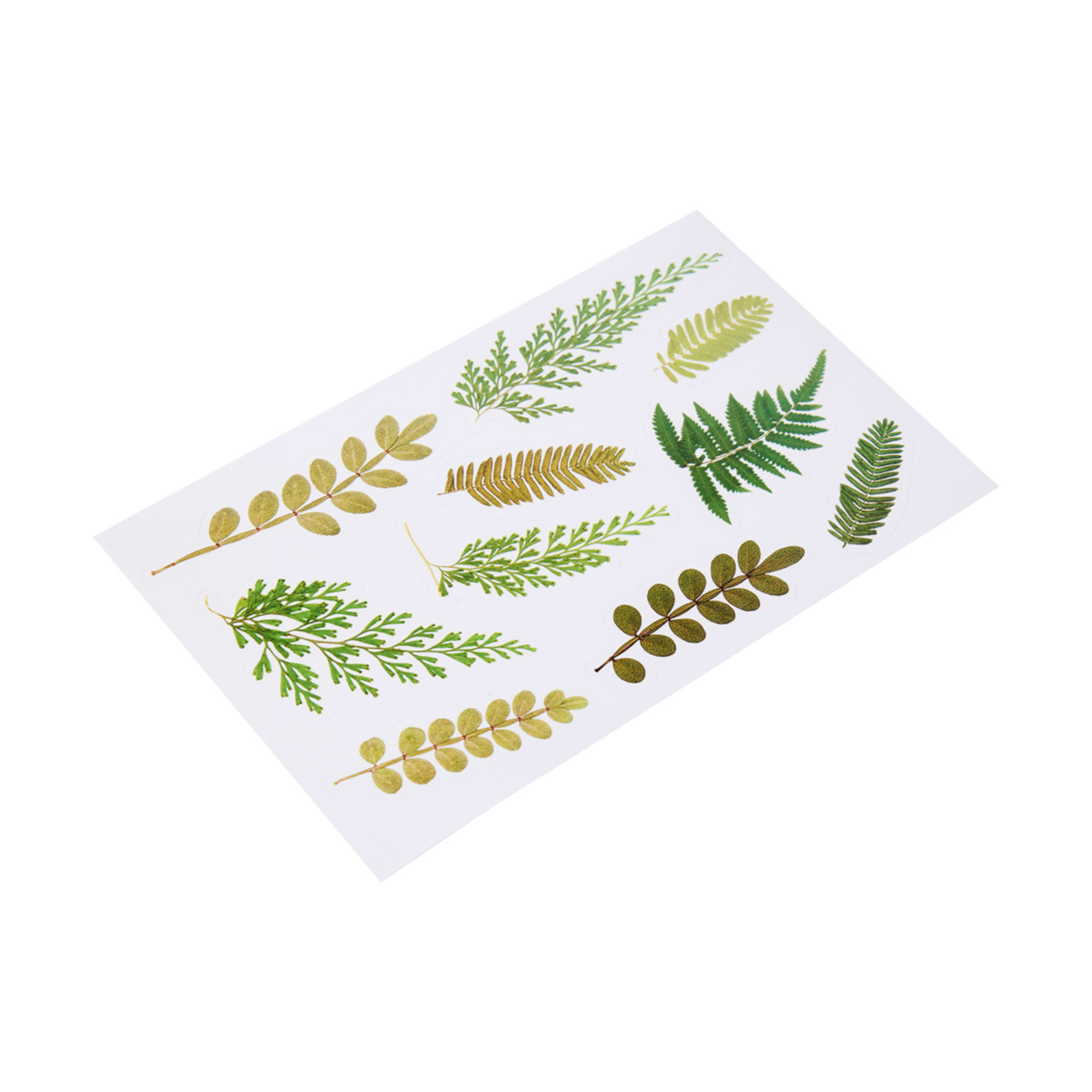 6 Pack Pressed Leaf Stickers - Kmart