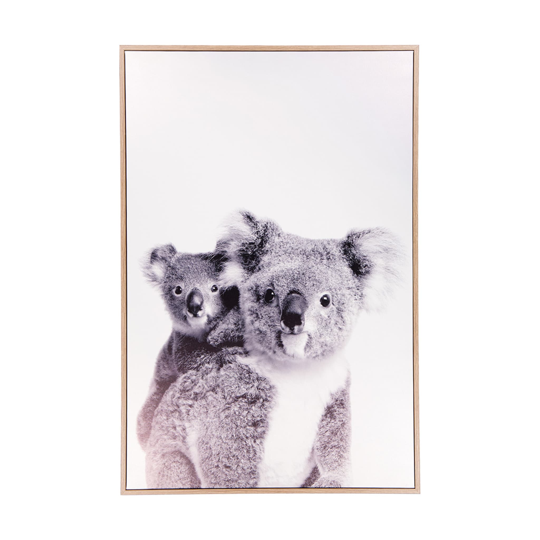 Koalas Framed Canvas Kmart
